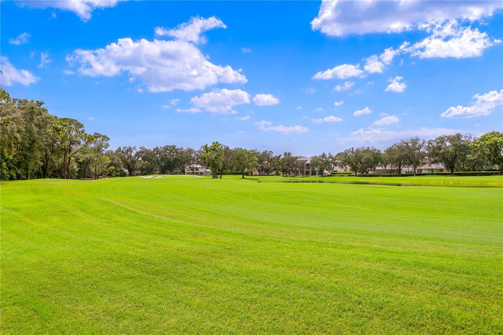 Tampa, Florida, 33613, United States, 7 Bedrooms Bedrooms, ,8 BathroomsBathrooms,Residential,For Sale,1979226