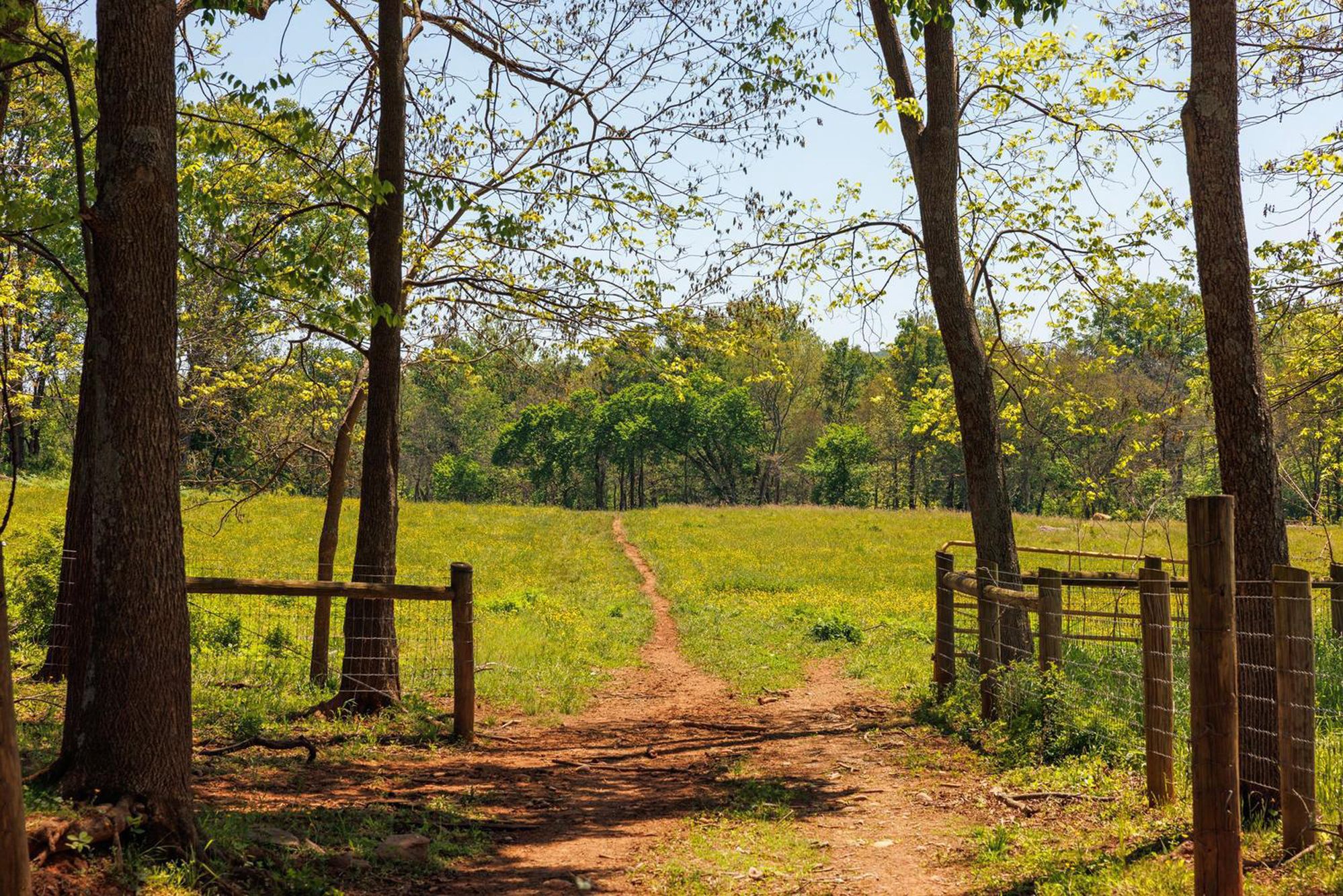  43225 Hibler Road, Leesburg, VA, 20176 - 物件實景