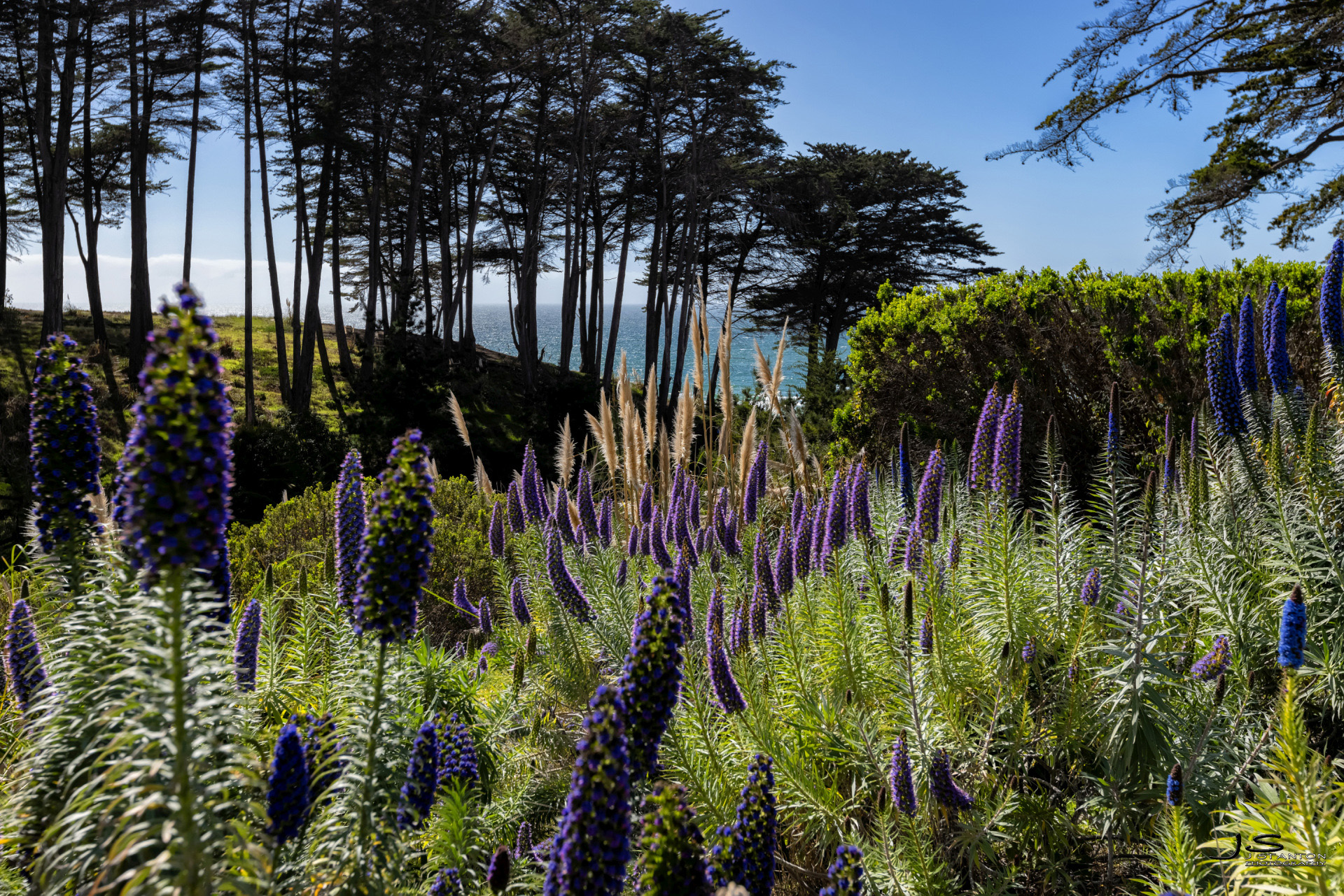  211 Seascape Resort Drive - 物件實景