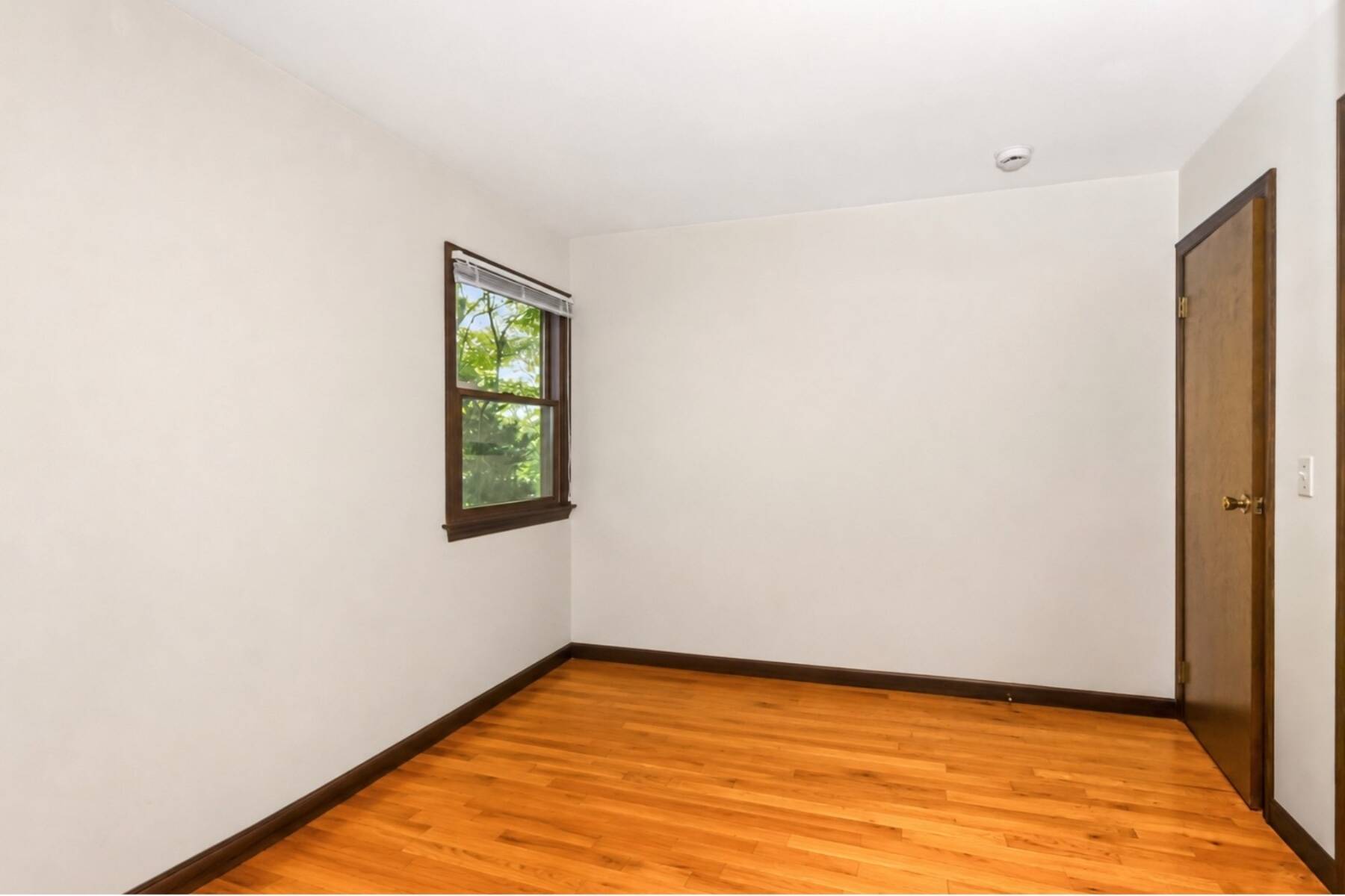  Light-Filled Contemporary in Clearwater - 物件實景