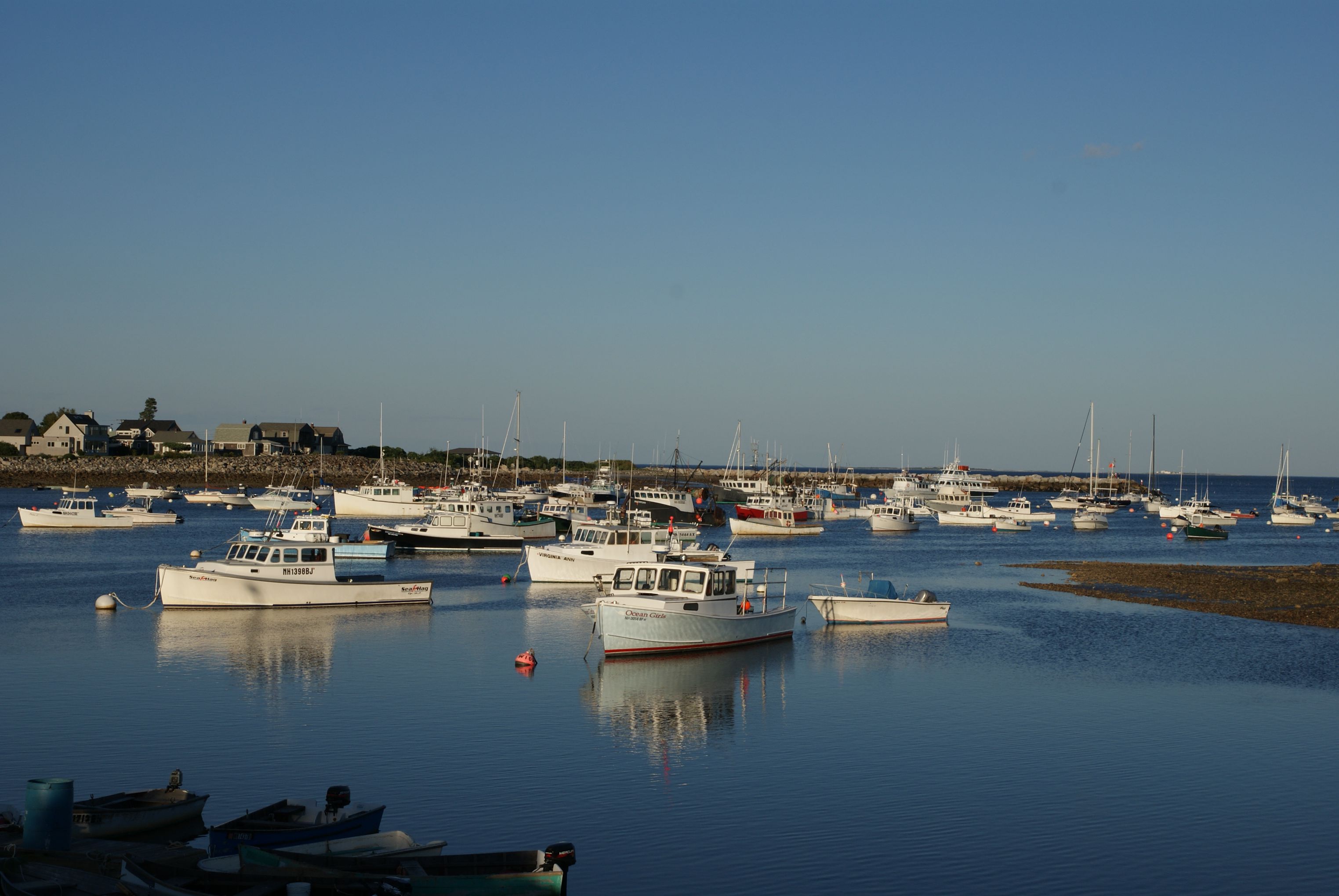  194 Locke Road - 物件實景