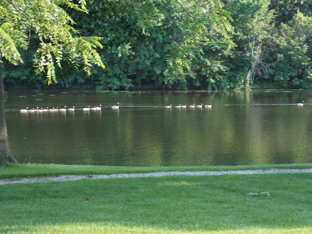 Kirksville, Missouri, 63501, United States, 5 Bedrooms Bedrooms, ,6 BathroomsBathrooms,Residential,For Sale,1982202