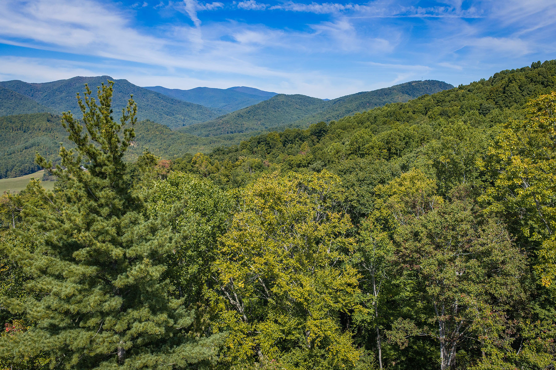  SPRUCE PINE - SUMMIT VIEW - 物件實景