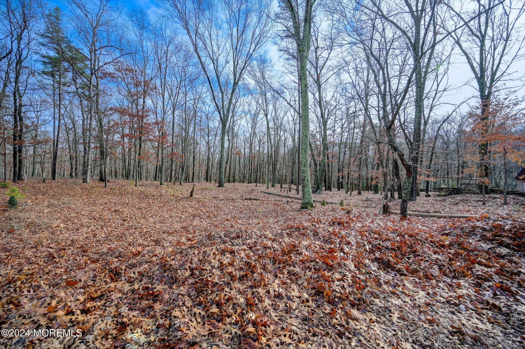 Jackson, New Jersey, 08527, United States, 4 Bedrooms Bedrooms, ,3 BathroomsBathrooms,Residential,For Sale,1930346