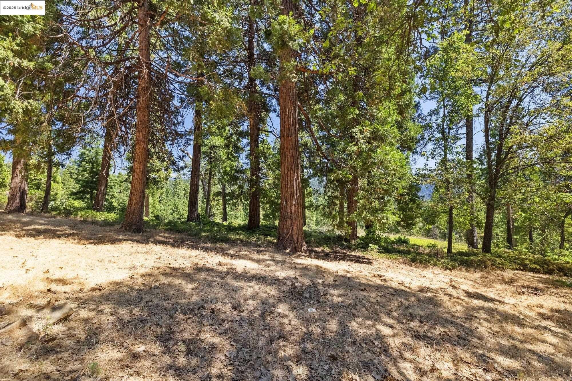 Mi Wuk Village, California, 95346, United States, 4 Bedrooms Bedrooms, ,3 BathroomsBathrooms,Residential,For Sale,1826710