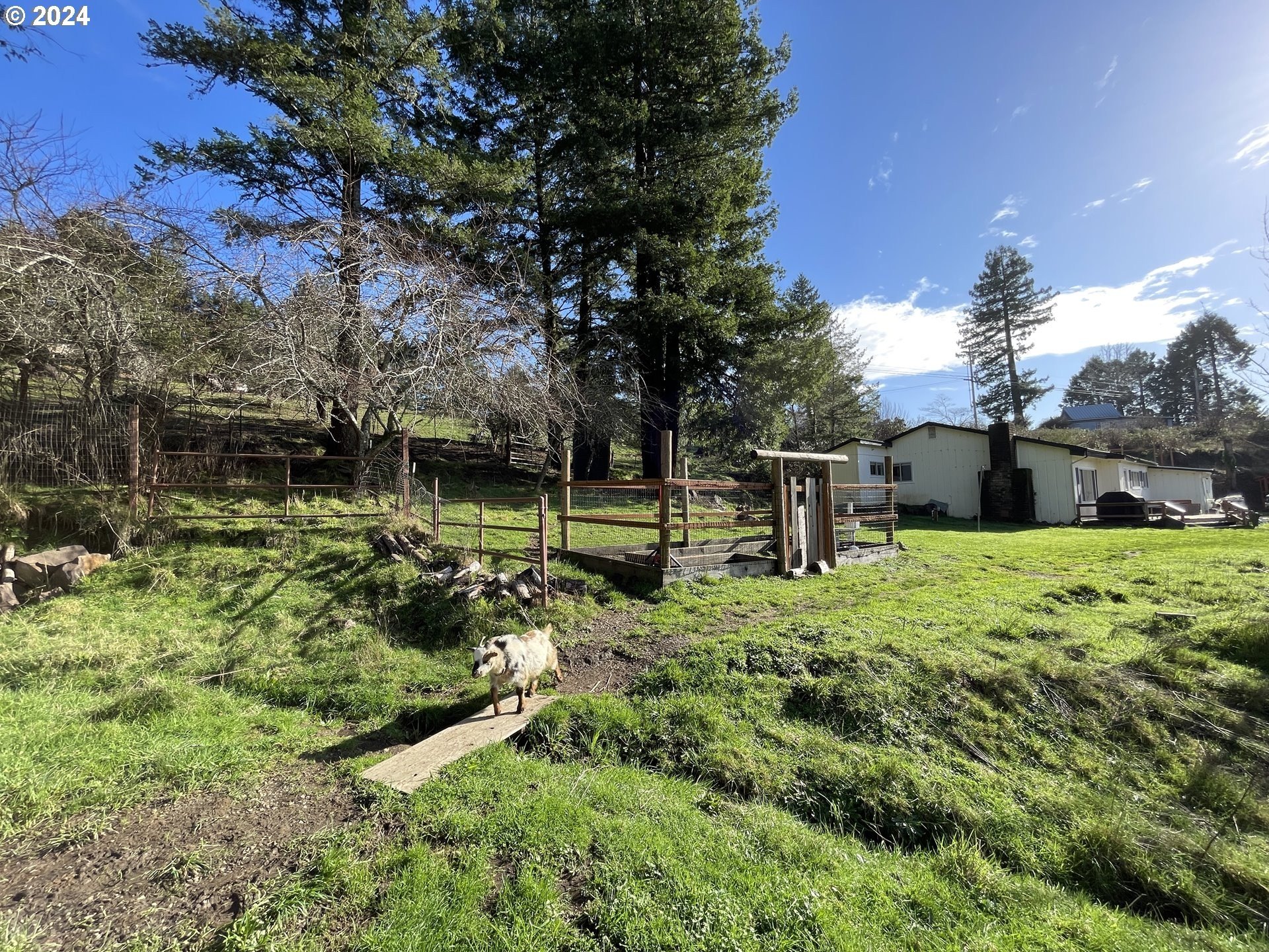Brookings, Oregon, 97415, United States, 3 Bedrooms Bedrooms, ,2 BathroomsBathrooms,Residential,For Sale,1872643