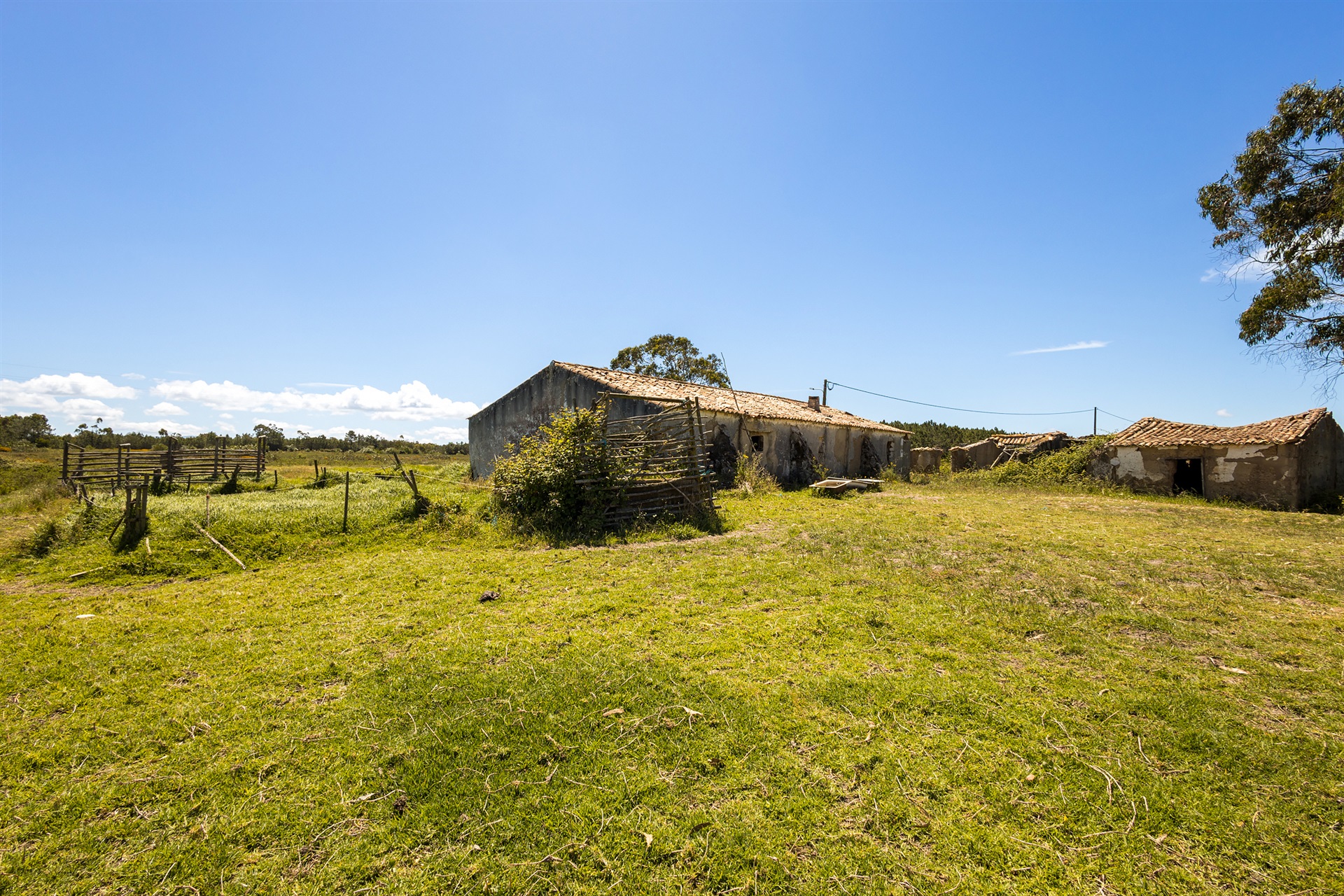  Terreno com ruina for Sale - 物件實景