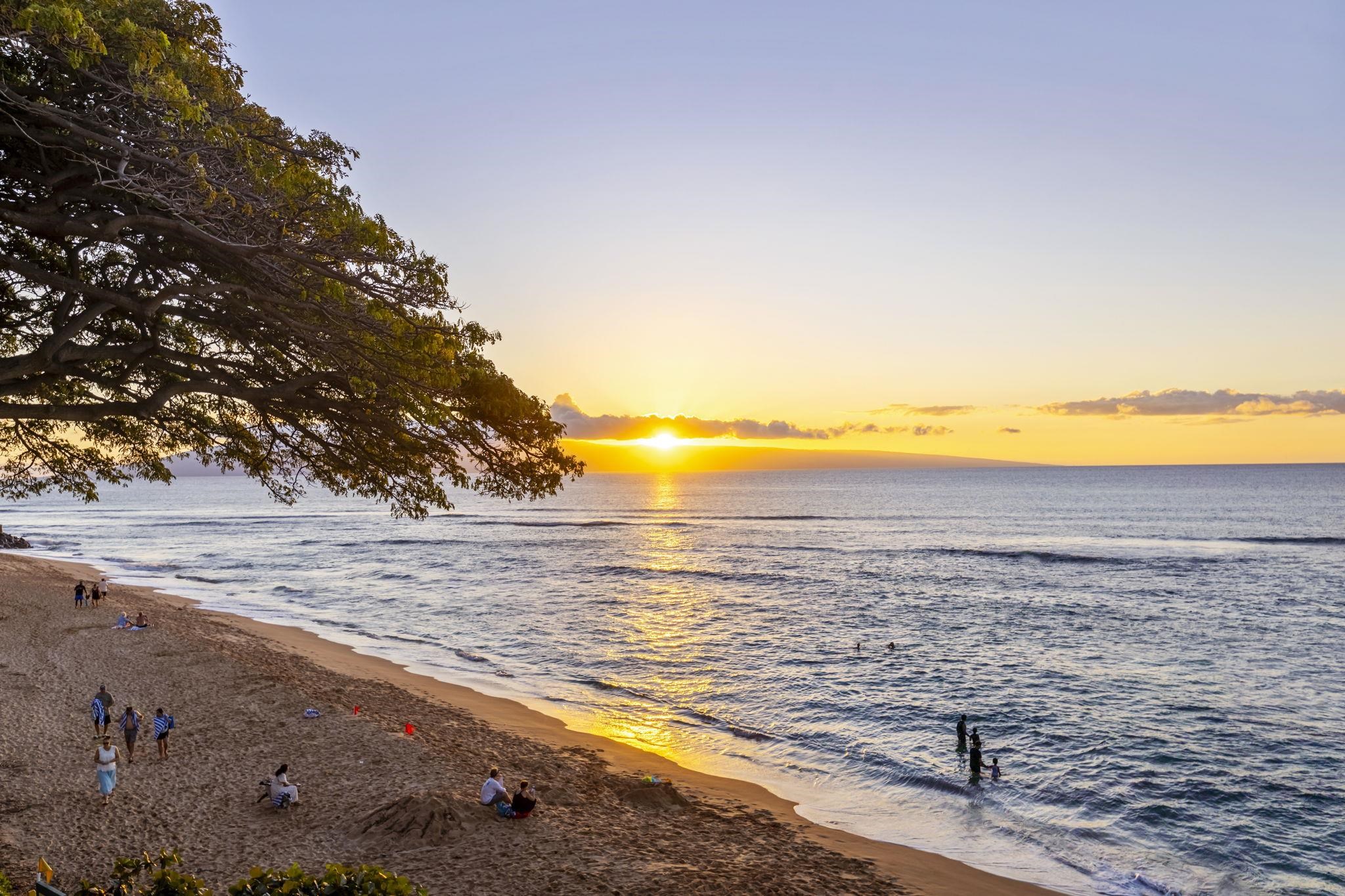 3445 Lower Honoapiilani Rd, Lahaina, Hawaii, 96761, United States, 2 Bedrooms Bedrooms, ,2 BathroomsBathrooms,Residential,For Sale,3445 Lower Honoapiilani Rd,1671729