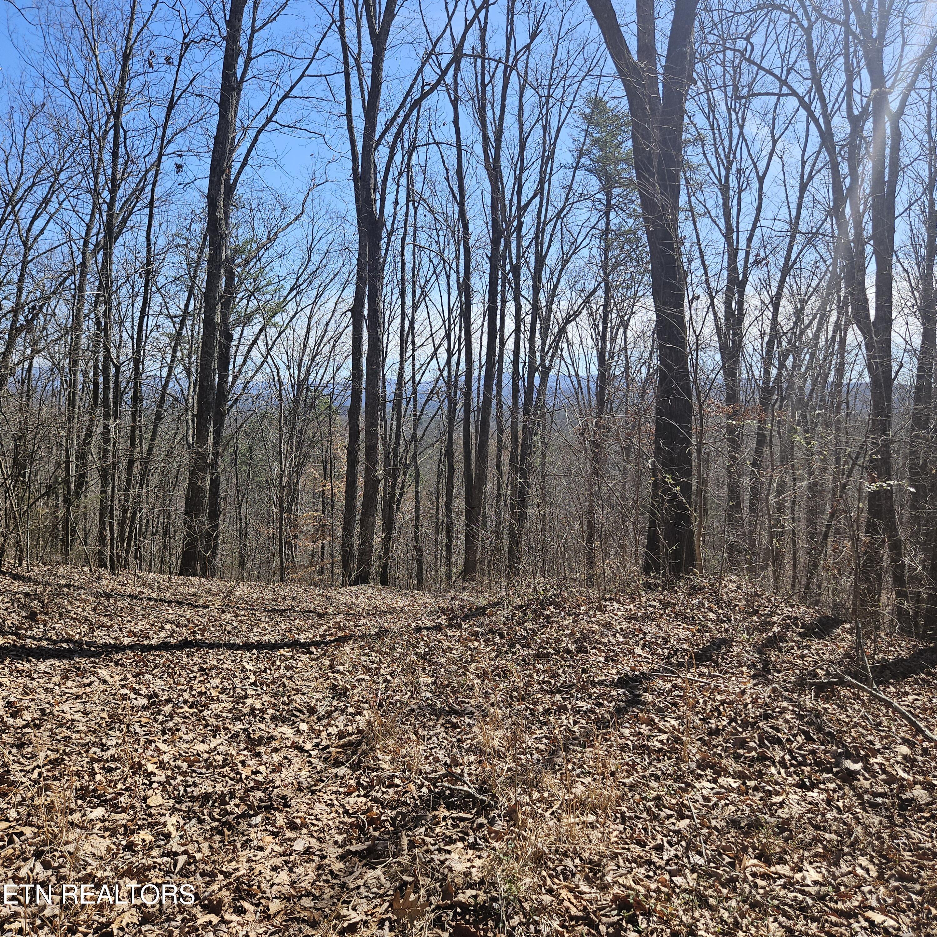 Tellico Plains, Tennessee, 37385, United States, ,Residential,For Sale,1922105