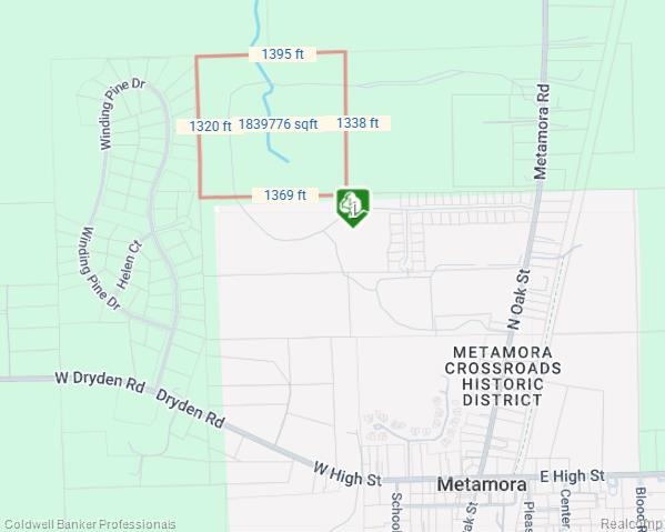 Metamora, Michigan, 48455, United States, ,Land,For Sale,1736755