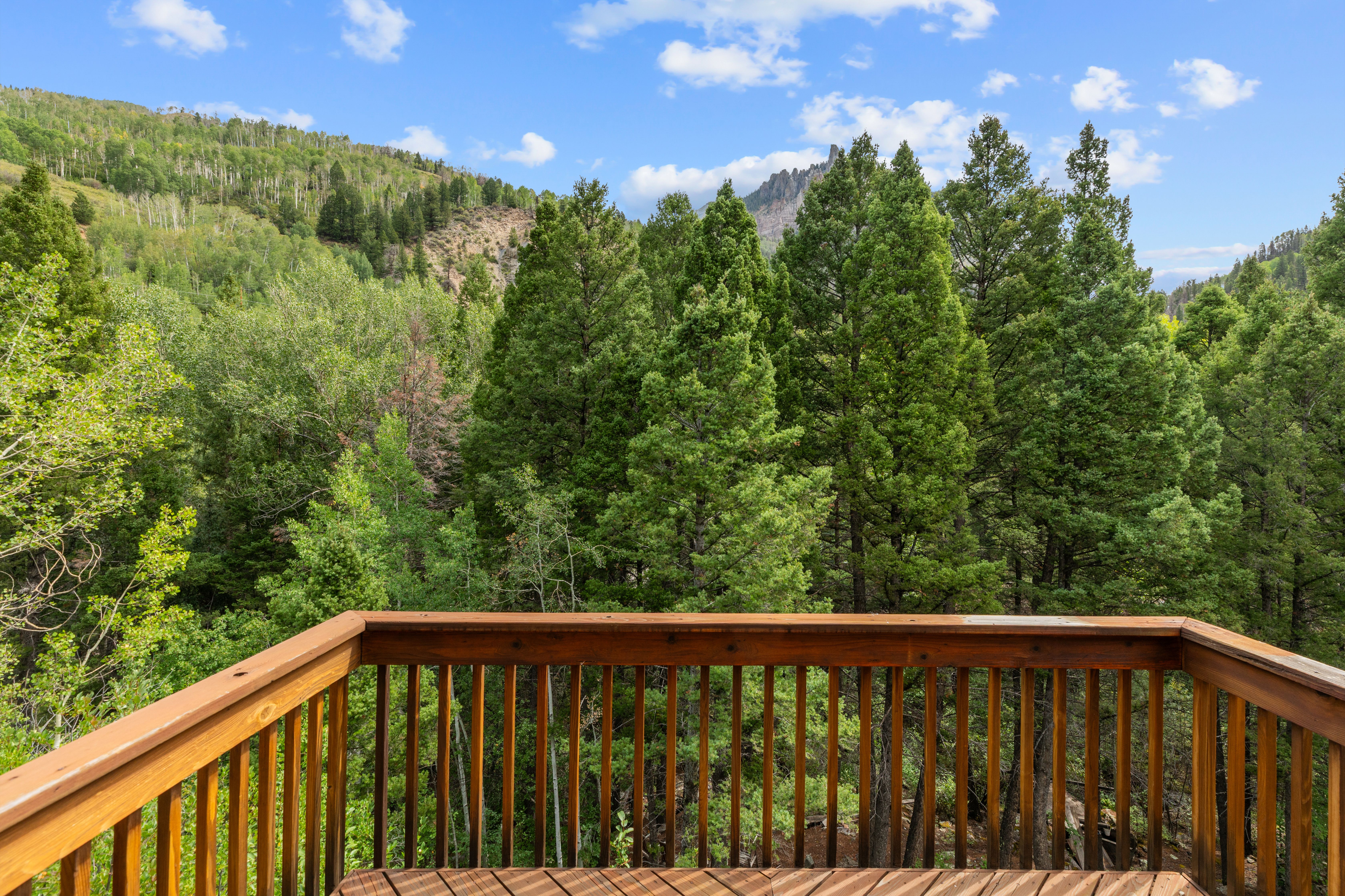  Peaceful Neighborhood in Ames, Colorado, minutes to Telluride - 物件實景