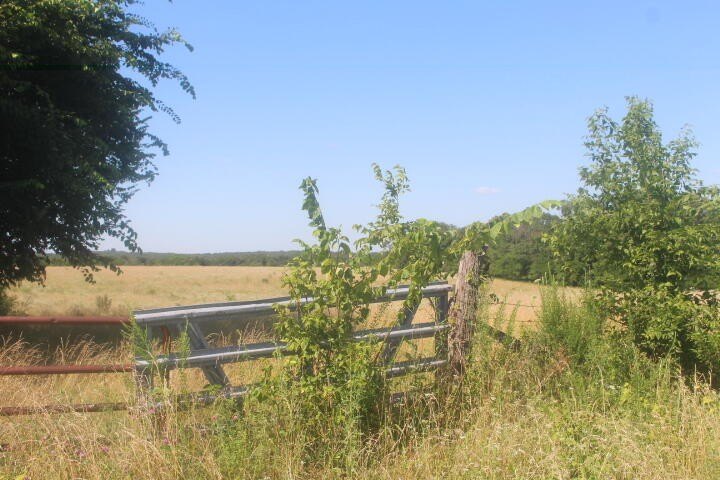 Polk, Missouri, 65727, United States, ,Land,For Sale,1980569