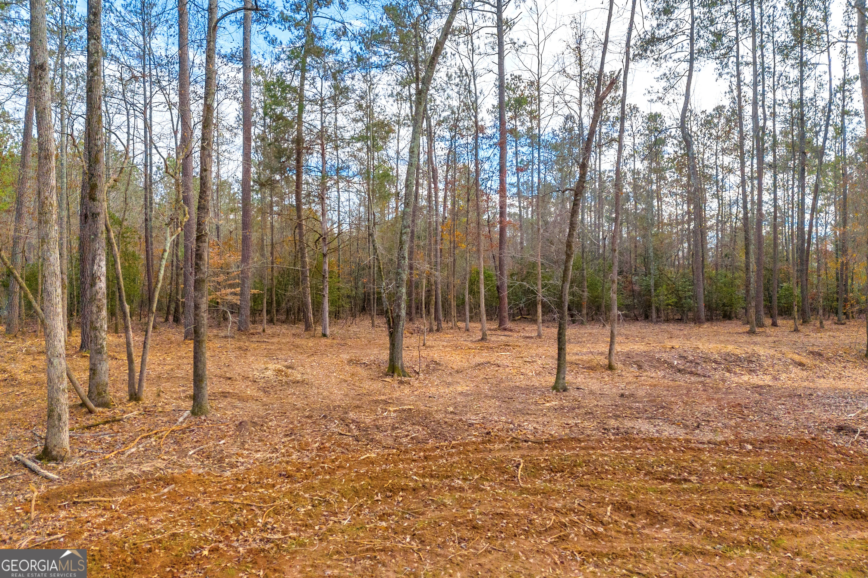 2401 Moores Ford Road, Bogart, Georgia, 30622, United States, ,Land,For Sale,2401 Moores Ford Road,1675165