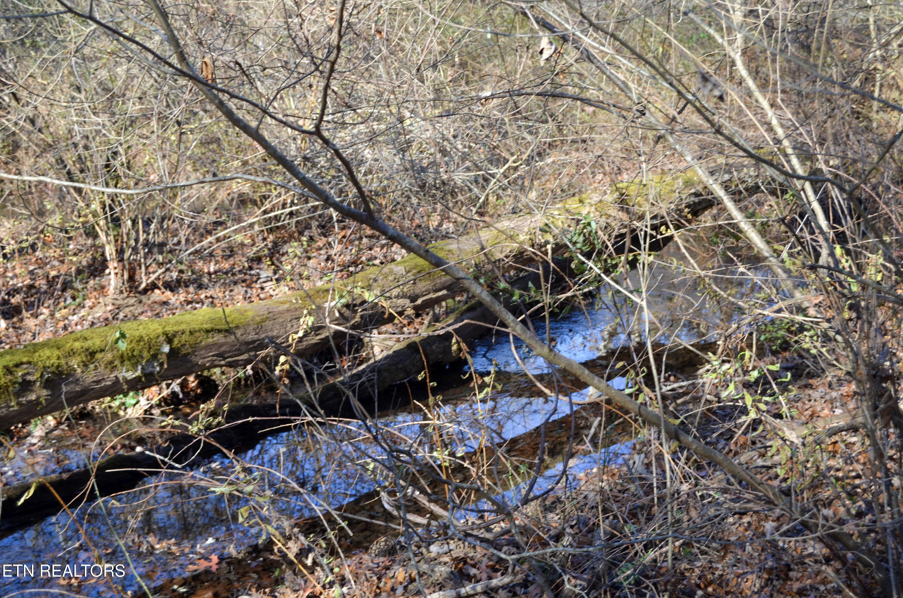 Crossville, Tennessee, 38555, United States, ,Land,For Sale,1983294