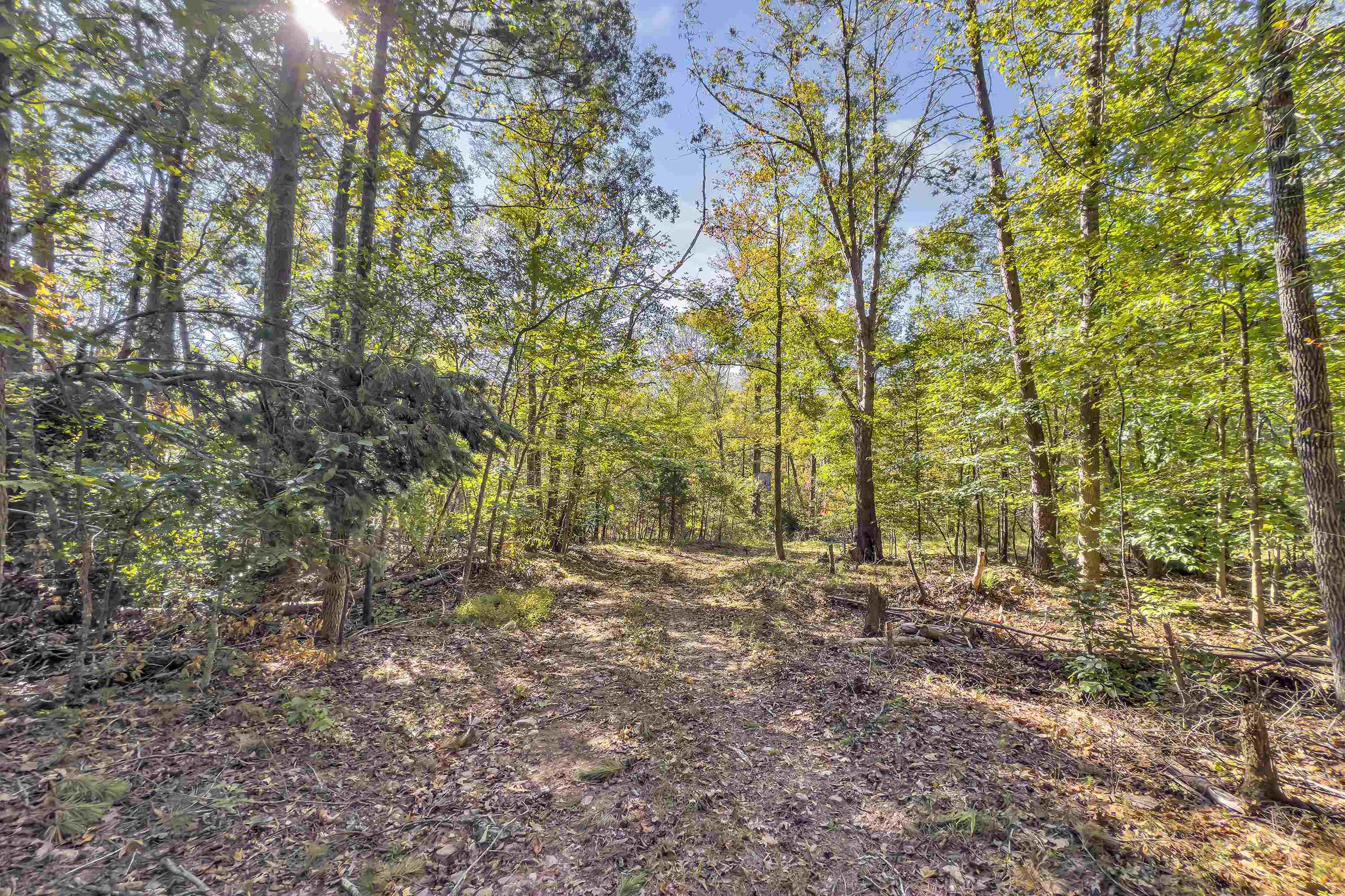 Old Converse Road, Spartanburg, South Carolina, 29301, United States, ,Land,For Sale,Old Converse Road,1646994