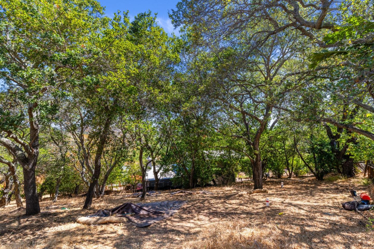Redwood City, California, 94062, United States, ,Land,For Sale,1907554