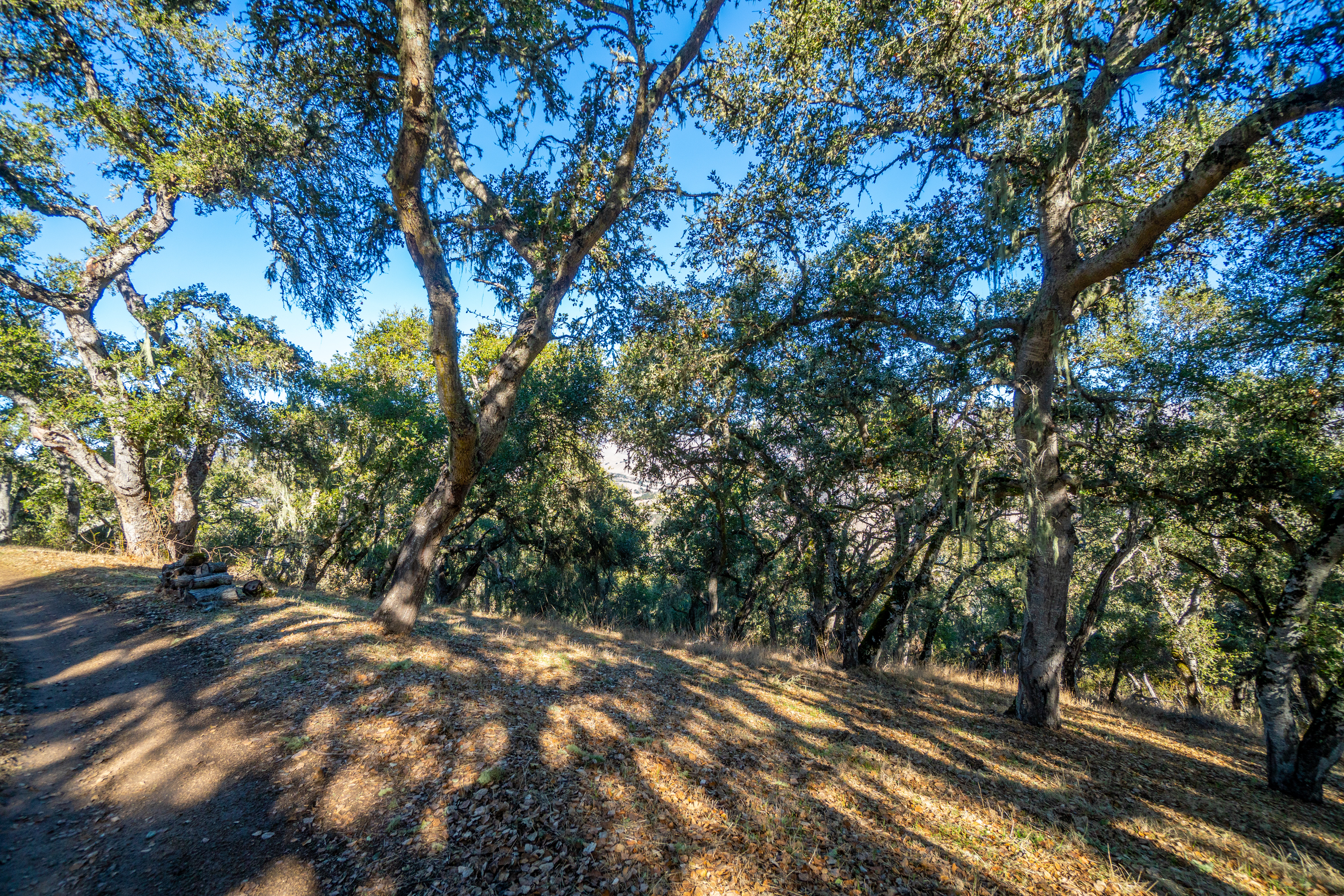  17114 Cachagua Road - 物件實景