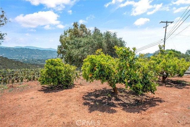 Fallbrook, California, 92028, United States, 2 Bedrooms Bedrooms, ,3 BathroomsBathrooms,Residential,For Sale,1979251