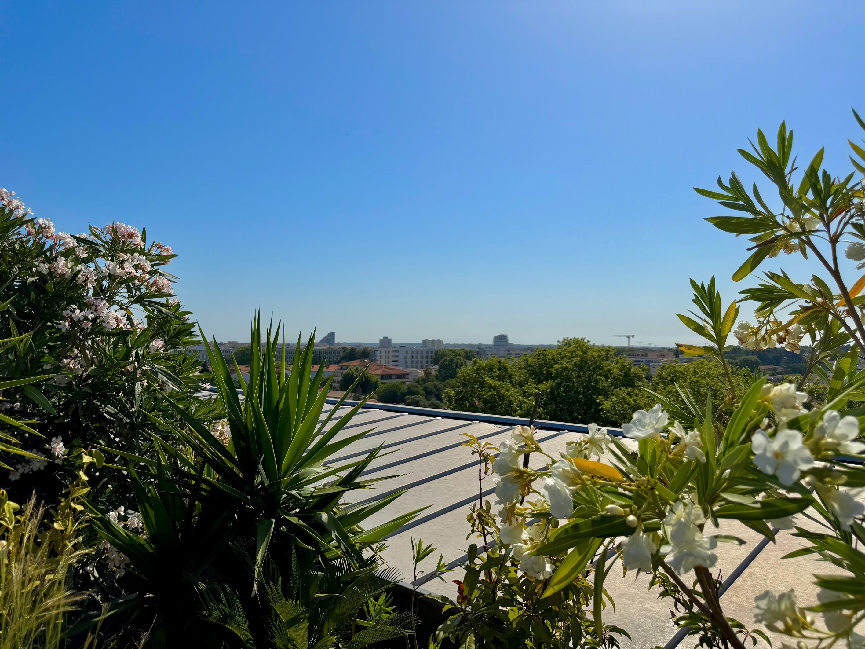 Creative City, Superb Rooftop Bathed in Light... - 物件實景