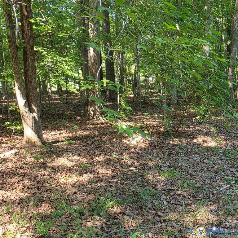 Wendy Ln, Amelia Court House, VA 23002 #1