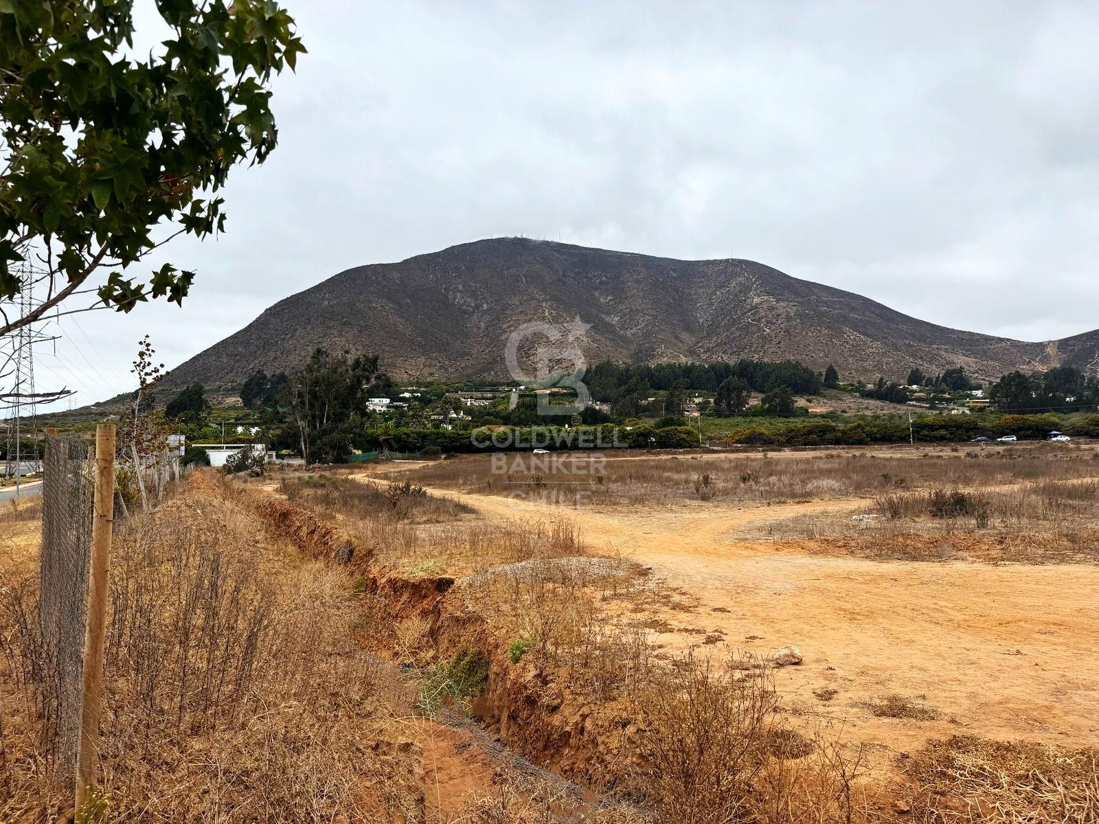 La Serena, Chile, ,Land,For Sale,1723482