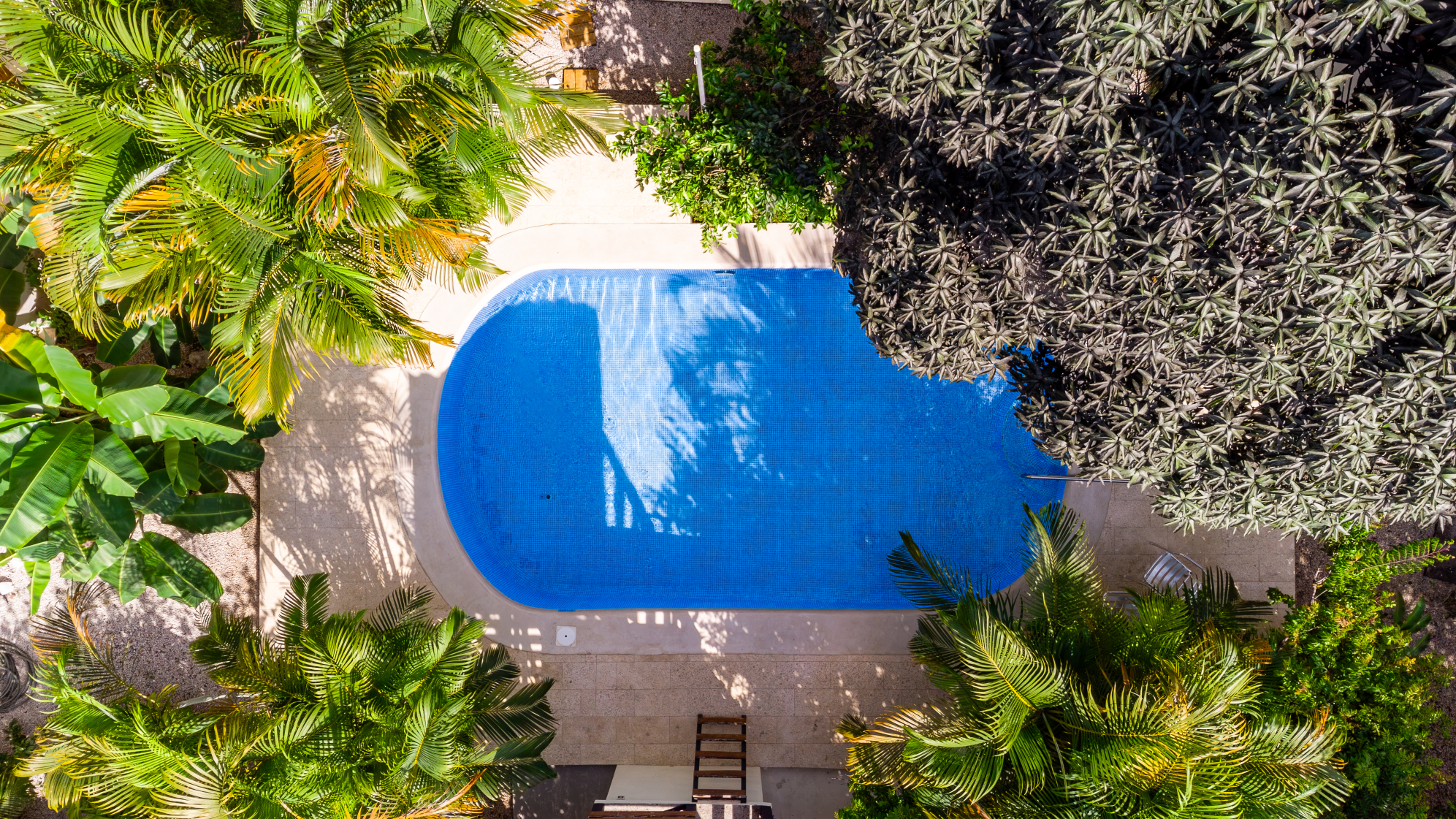 Samara, Guanacaste, CR, 5 Bedrooms Bedrooms, ,4 BathroomsBathrooms,Residential,For Sale,1964860