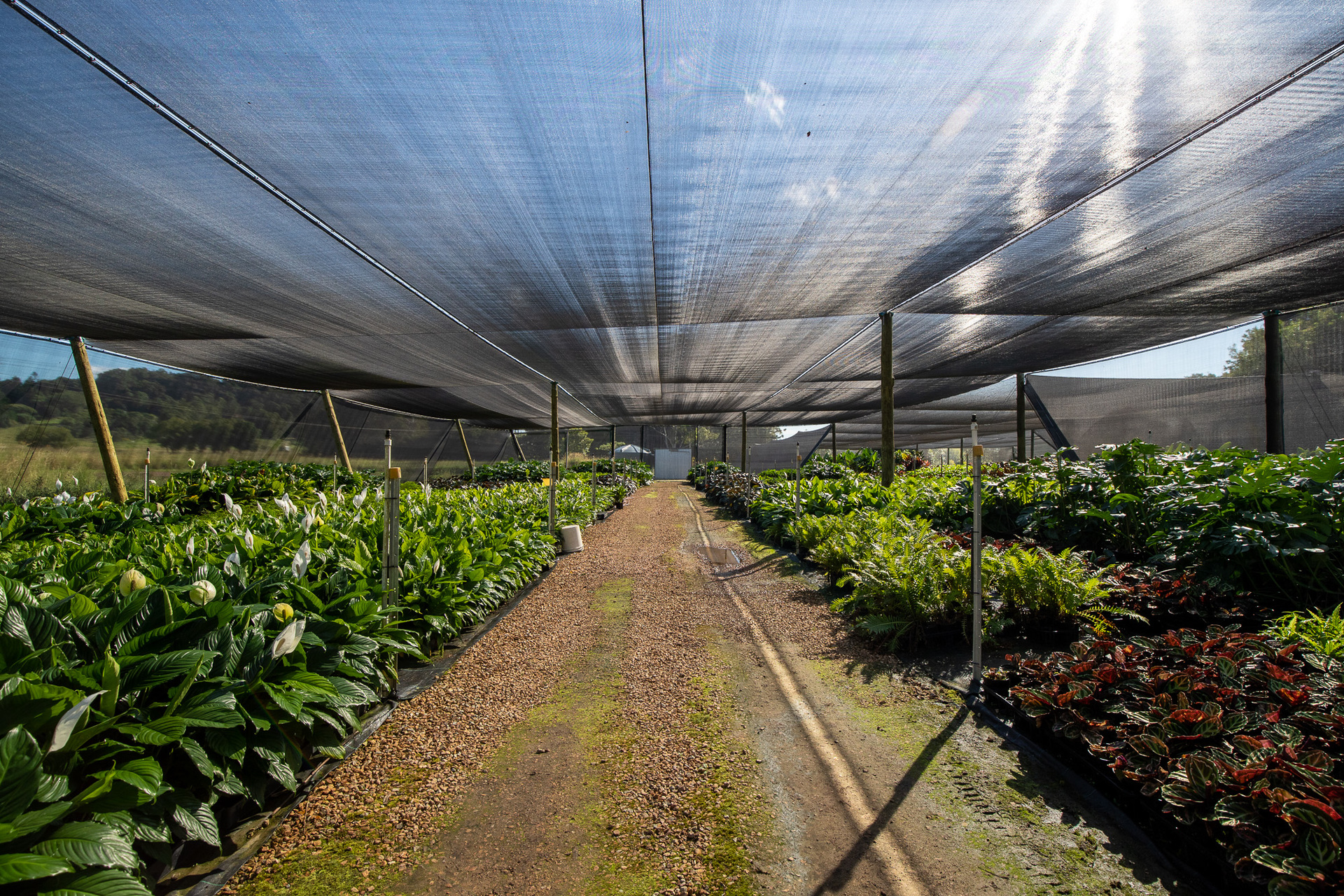  598 Myocum Road, Myocum - 物件實景