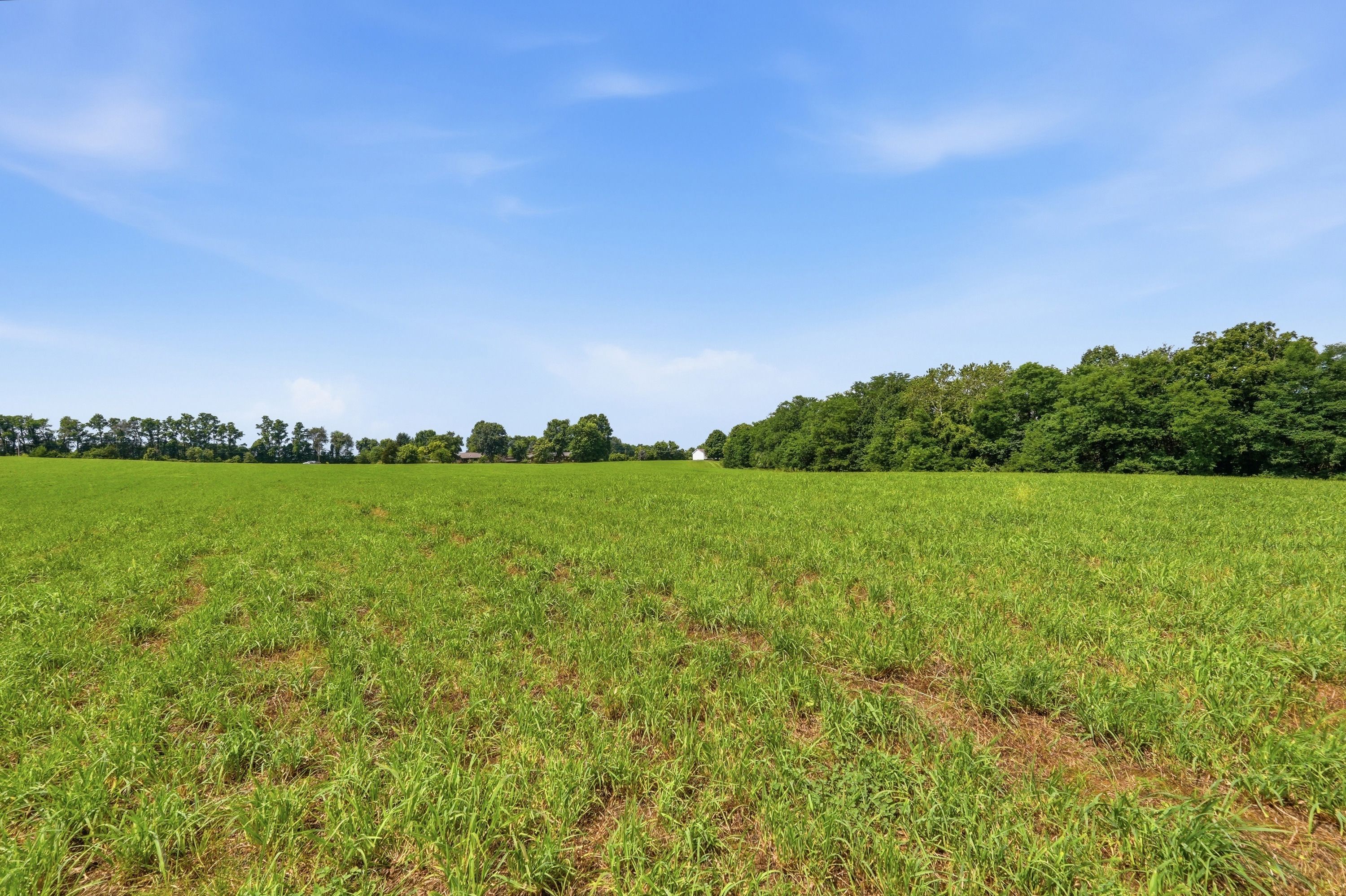  3850 Smith Lane, La Grange, KY 40031 - 物件實景