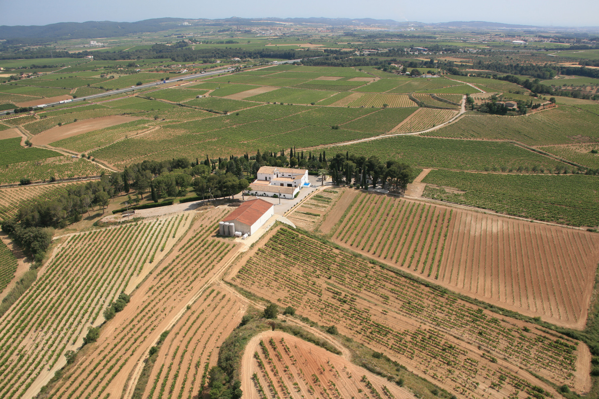 Historic Winery Estate with Vineyards in Penedes for Sale. - 物件實景