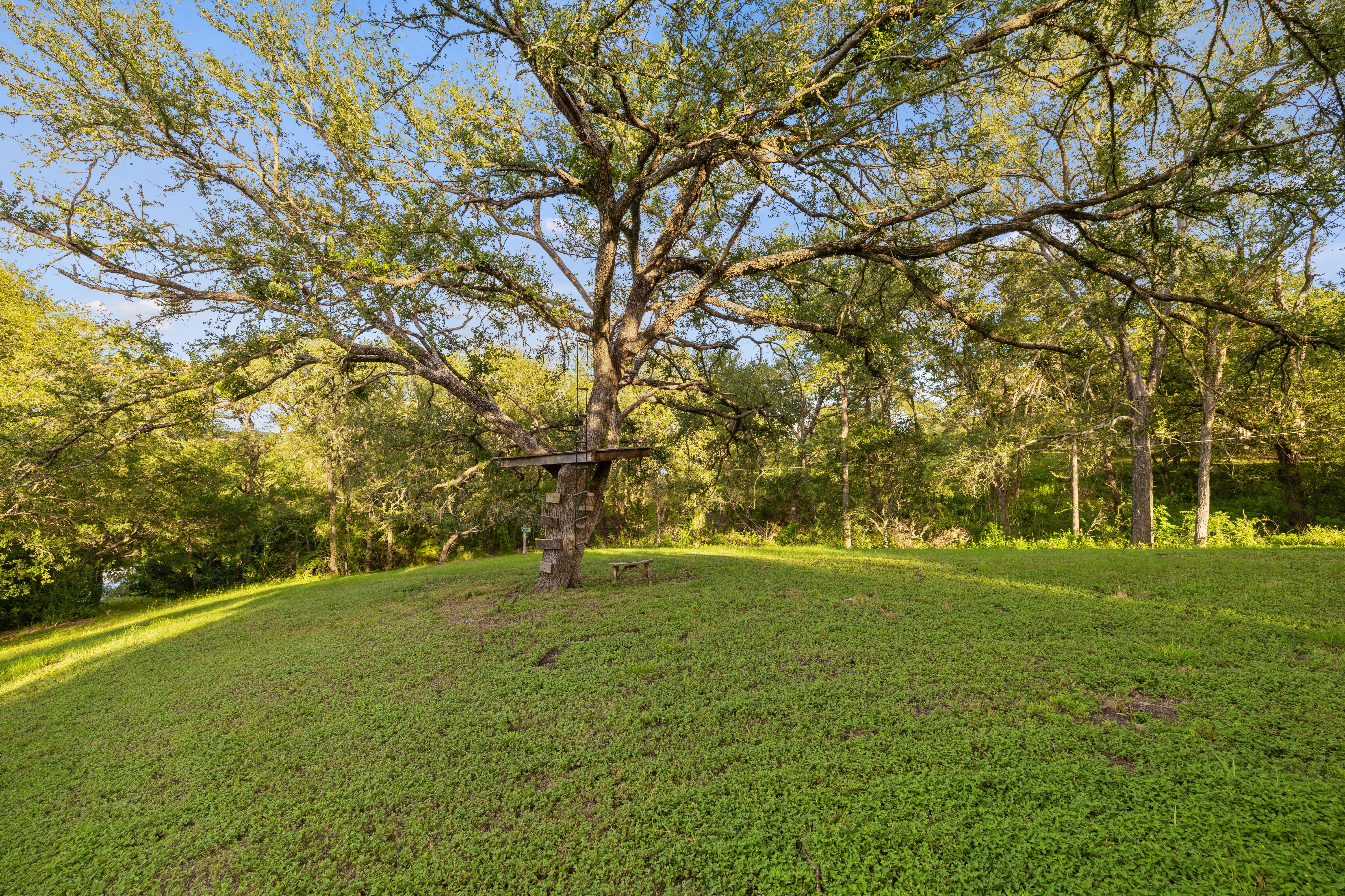  Manor Modern Ranch - 物件實景