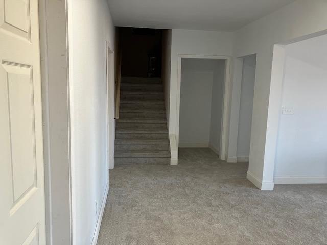 Hiawassee, Georgia, 30546, United States, 5 Bedrooms Bedrooms, ,5 BathroomsBathrooms,Residential,For Sale,1982508