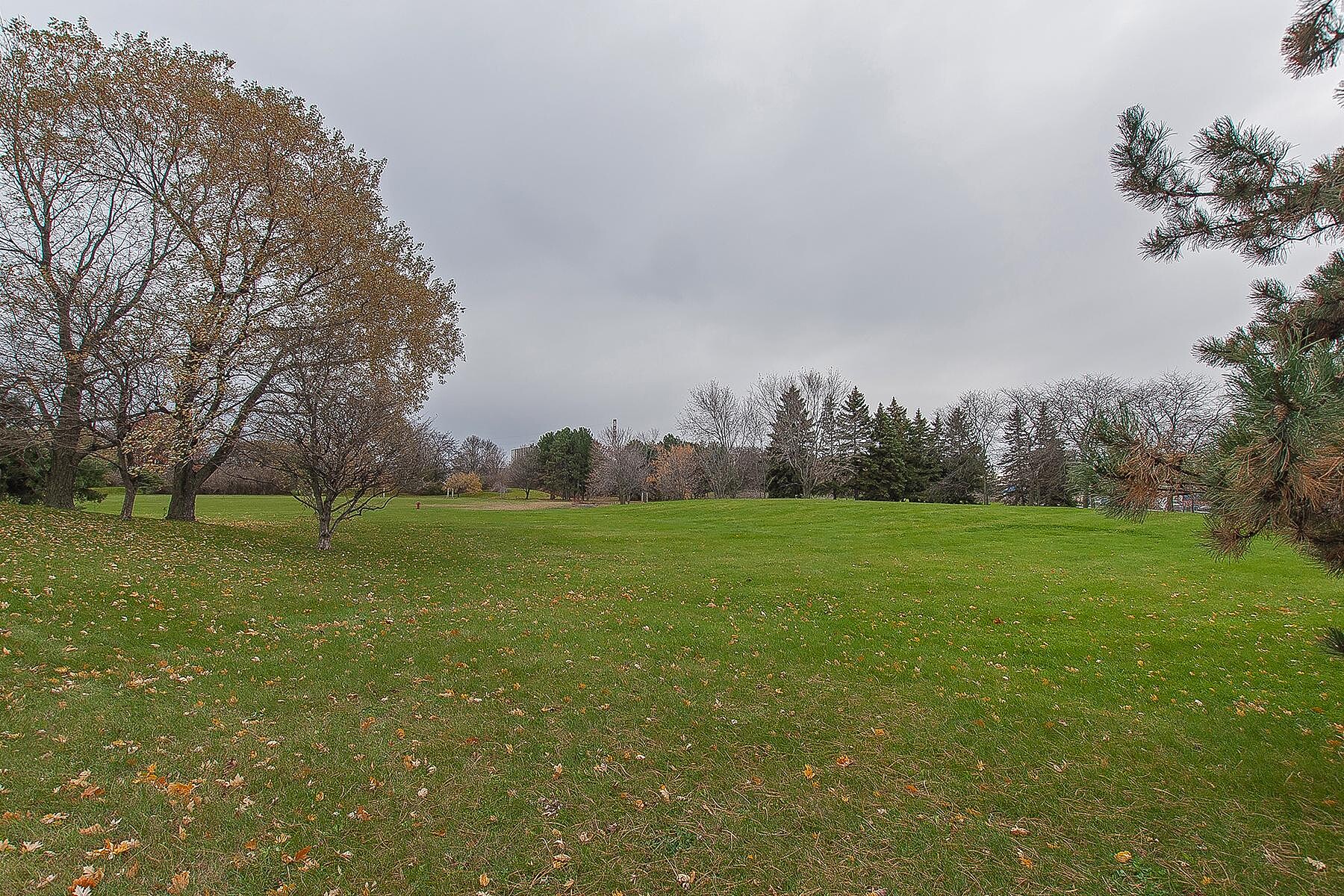  Ville-Marie, Montréal - 物件實景