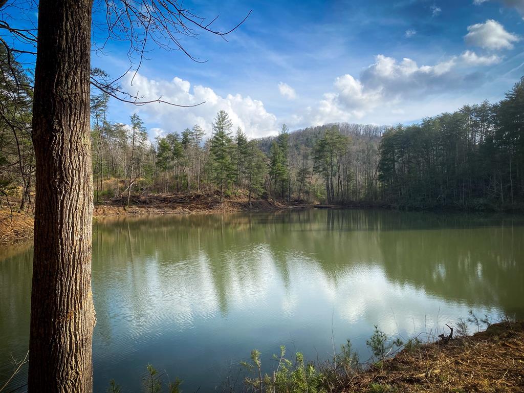 Ellijay, Georgia, 30536, United States, 5 Bedrooms Bedrooms, ,3 BathroomsBathrooms,Residential,For Sale,1982732