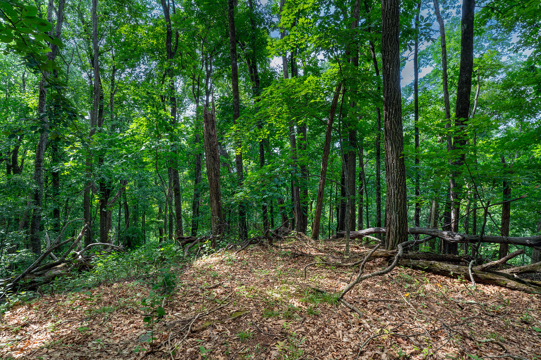  THE ORCHARDS OF MAYVIEW - BLOWING ROCK - 物件實景