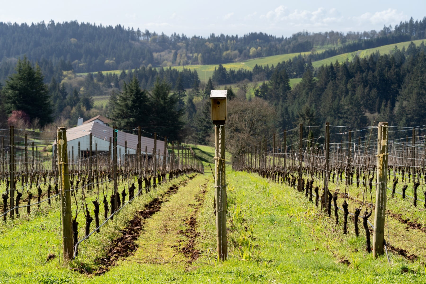  17001 NE FAIRVIEW DR Dundee, OR 97115 - 物件實景