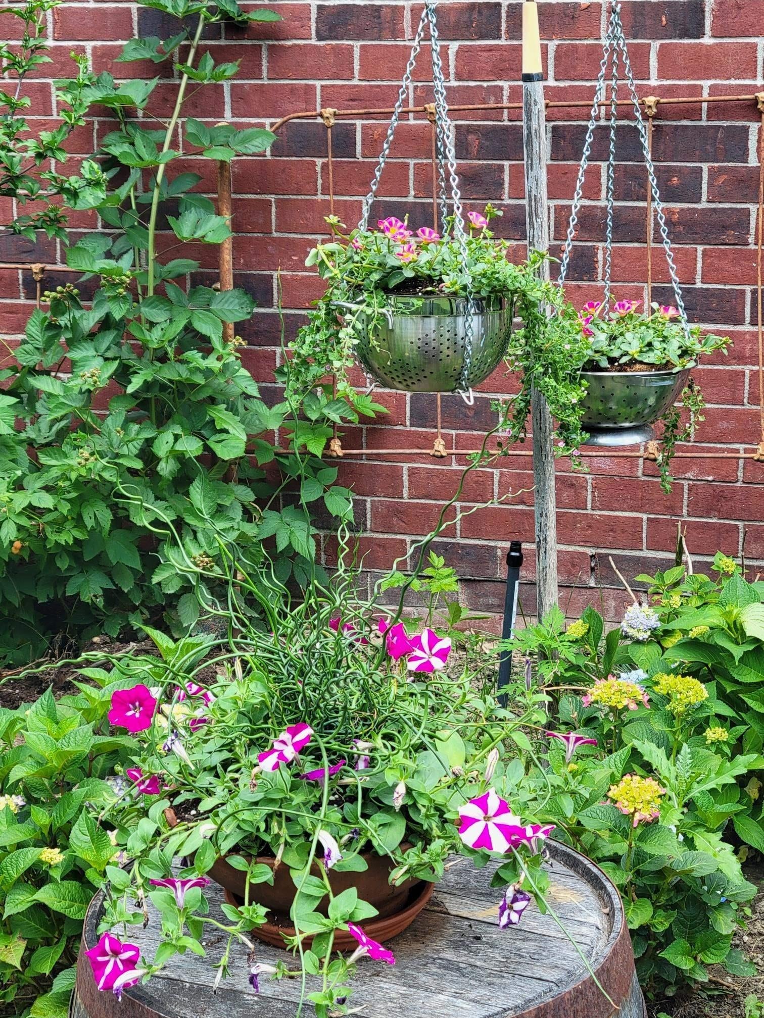 Macomb, Michigan, 48042, United States, 3 Bedrooms Bedrooms, ,3 BathroomsBathrooms,Residential,For Sale,2002873