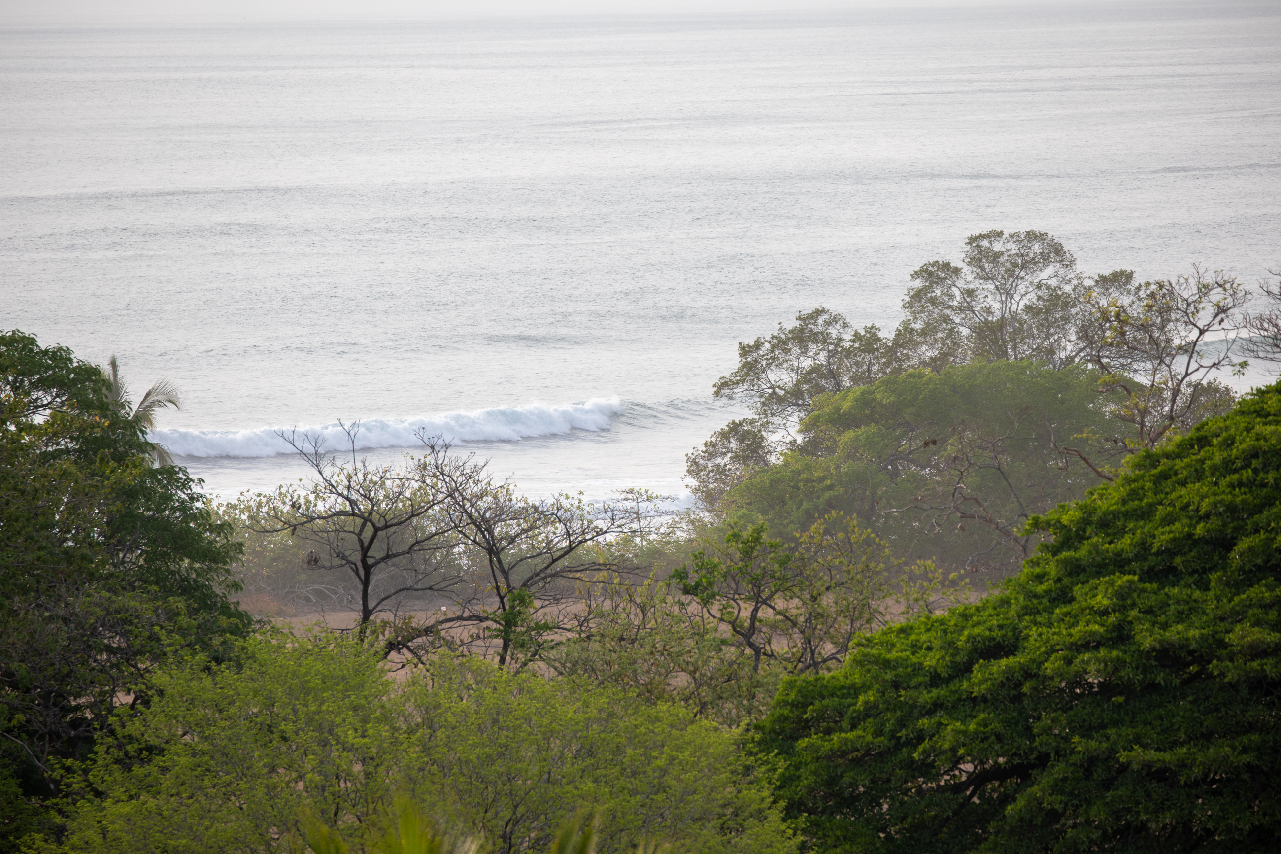 Nosara, Guanacaste, CR, 16 Bedrooms Bedrooms, ,9 BathroomsBathrooms,Residential,For Sale,1587974