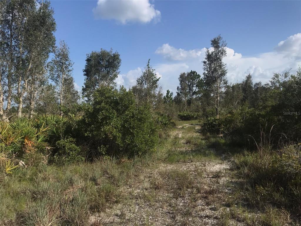 Punta Gorda, Florida, 33982, United States, ,Land,For Sale,1806148