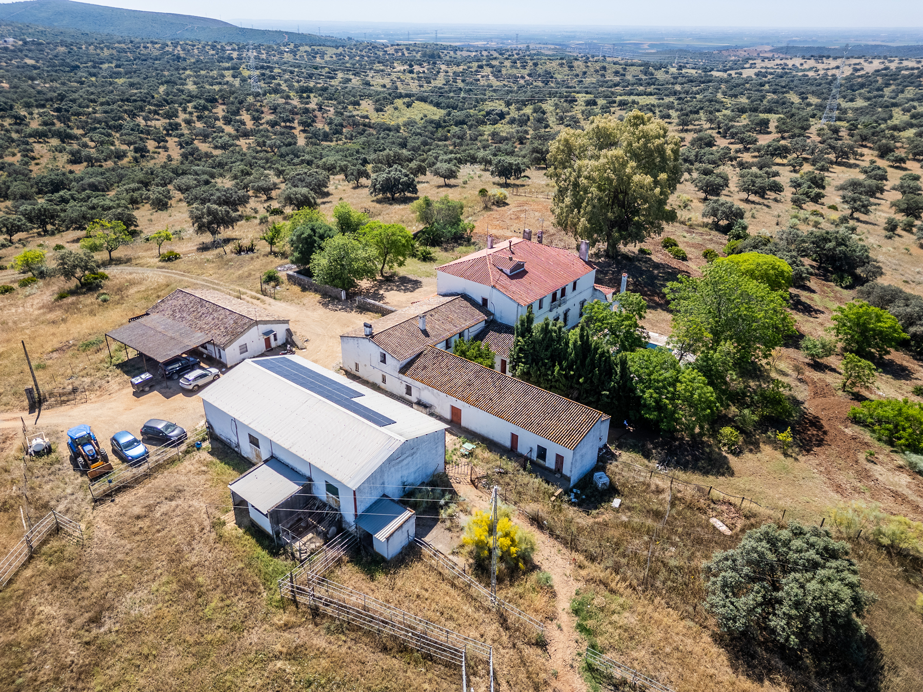  Livestock, hunting, and recreational estate in Castiblanco de los Arroyos - 物件實景
