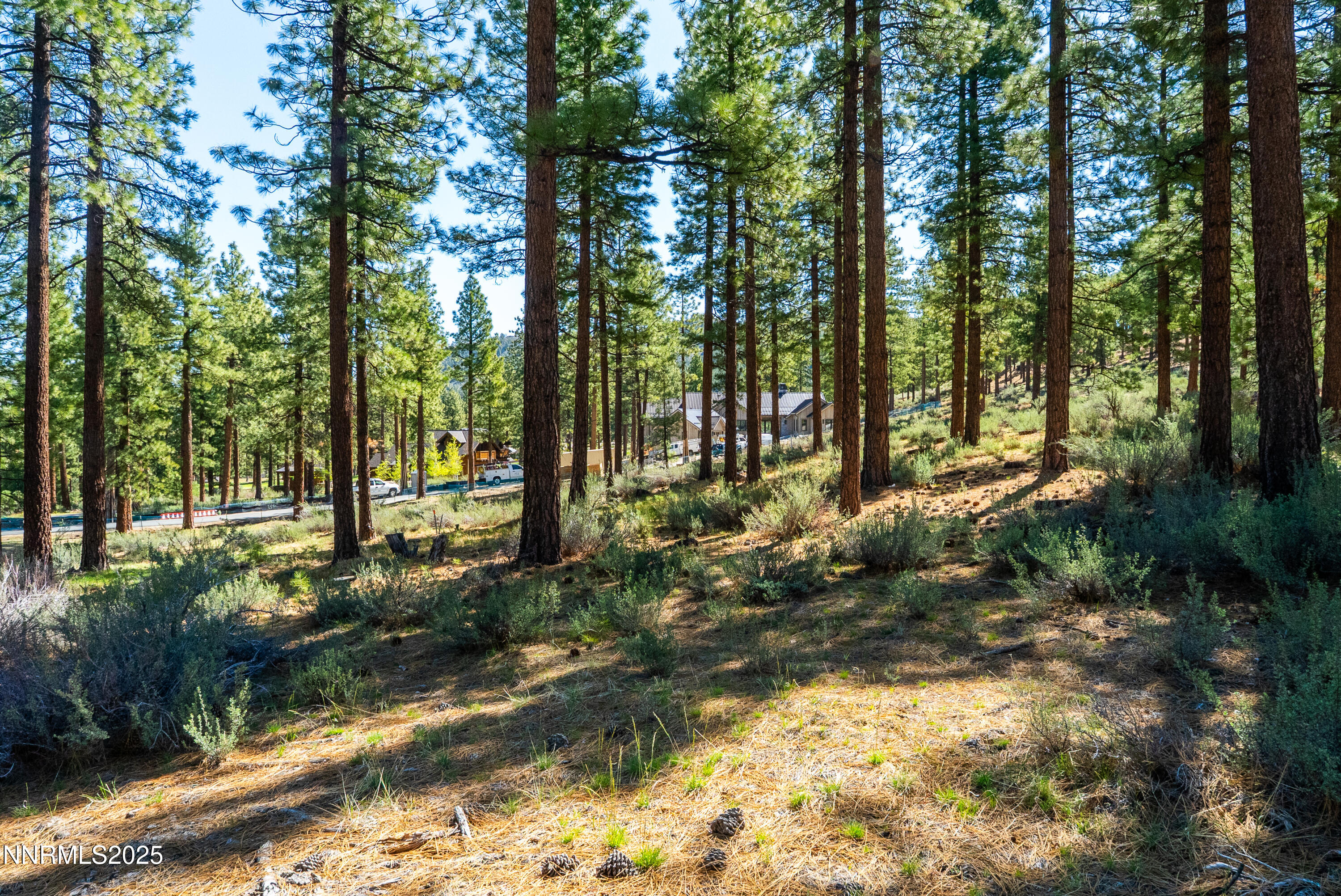 Carson City, Nevada, 89705, United States, ,Land,For Sale,1846834