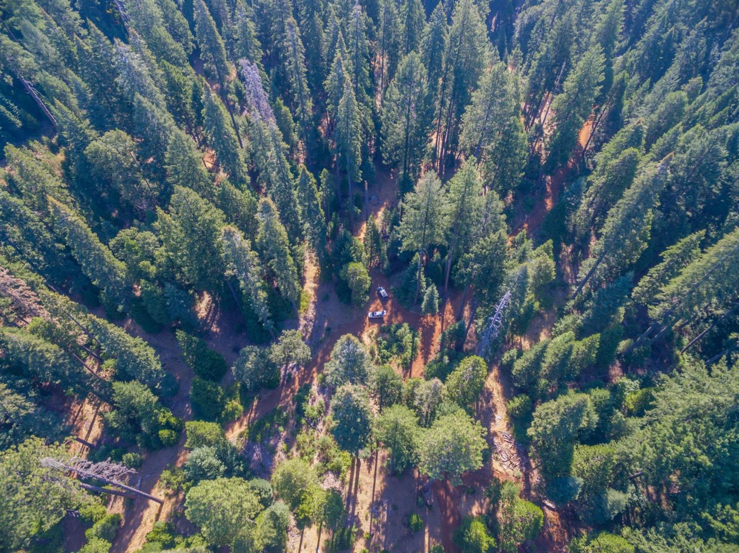 Pollock Pines, California, 95726, United States, ,Residential,For Sale,1982906