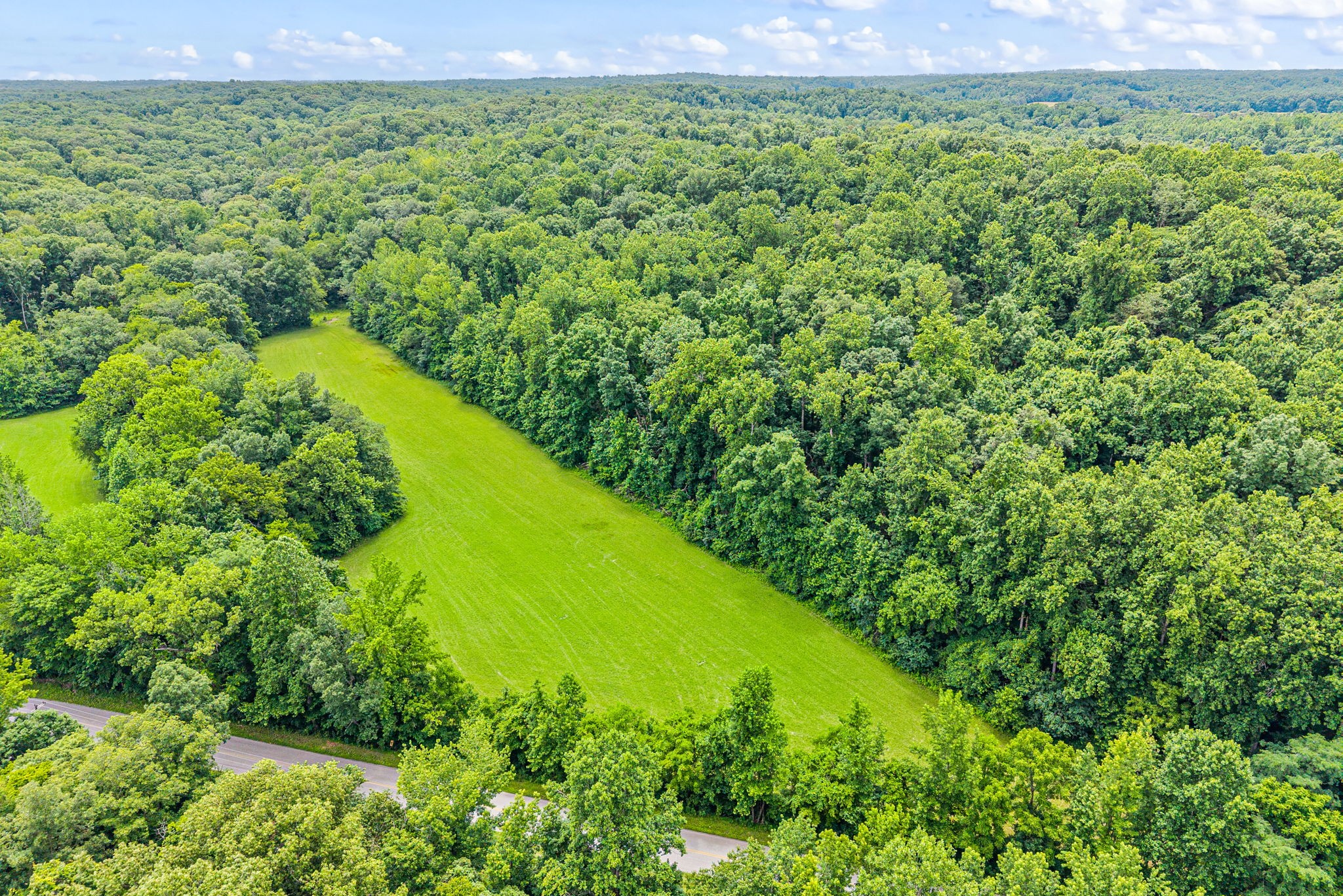  196 Wildlife Road, Dover, TN, 37058 - 物件實景