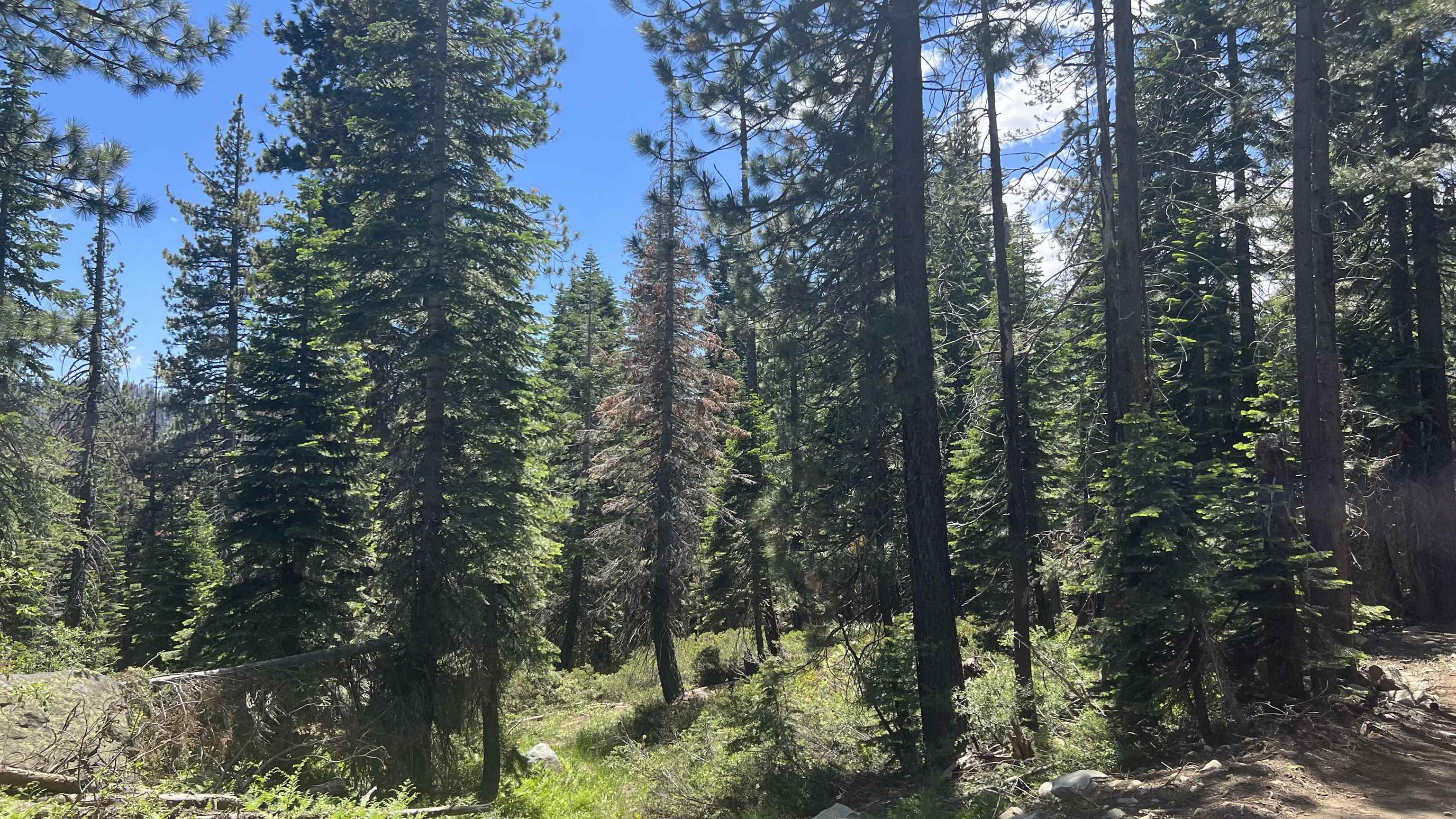 Soda Springs, California, 95728, United States, ,Land,For Sale,1998157