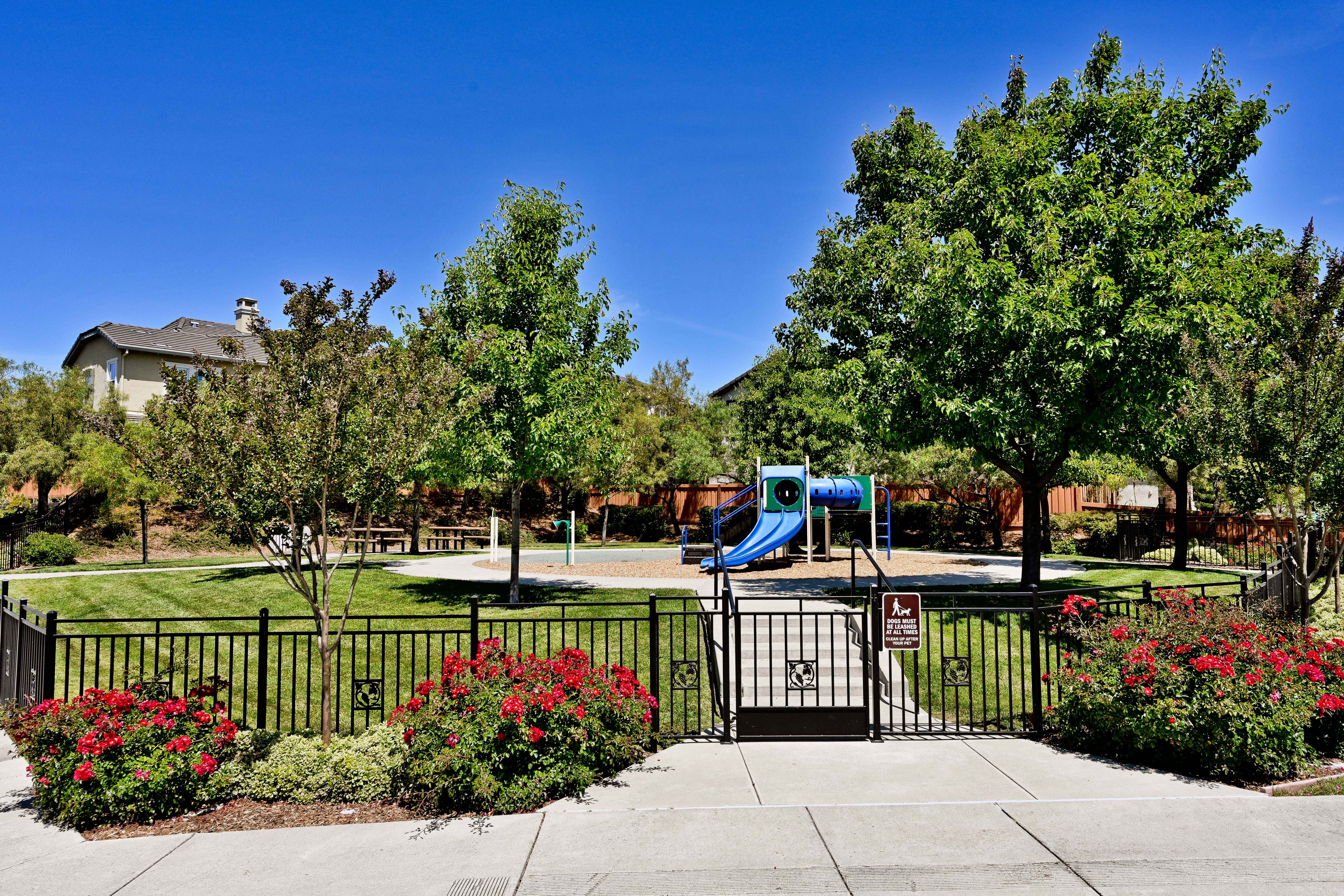  Stunning Monterosso Estate on Private Court with Designer Indoor-Outdoor Living - 物件實景