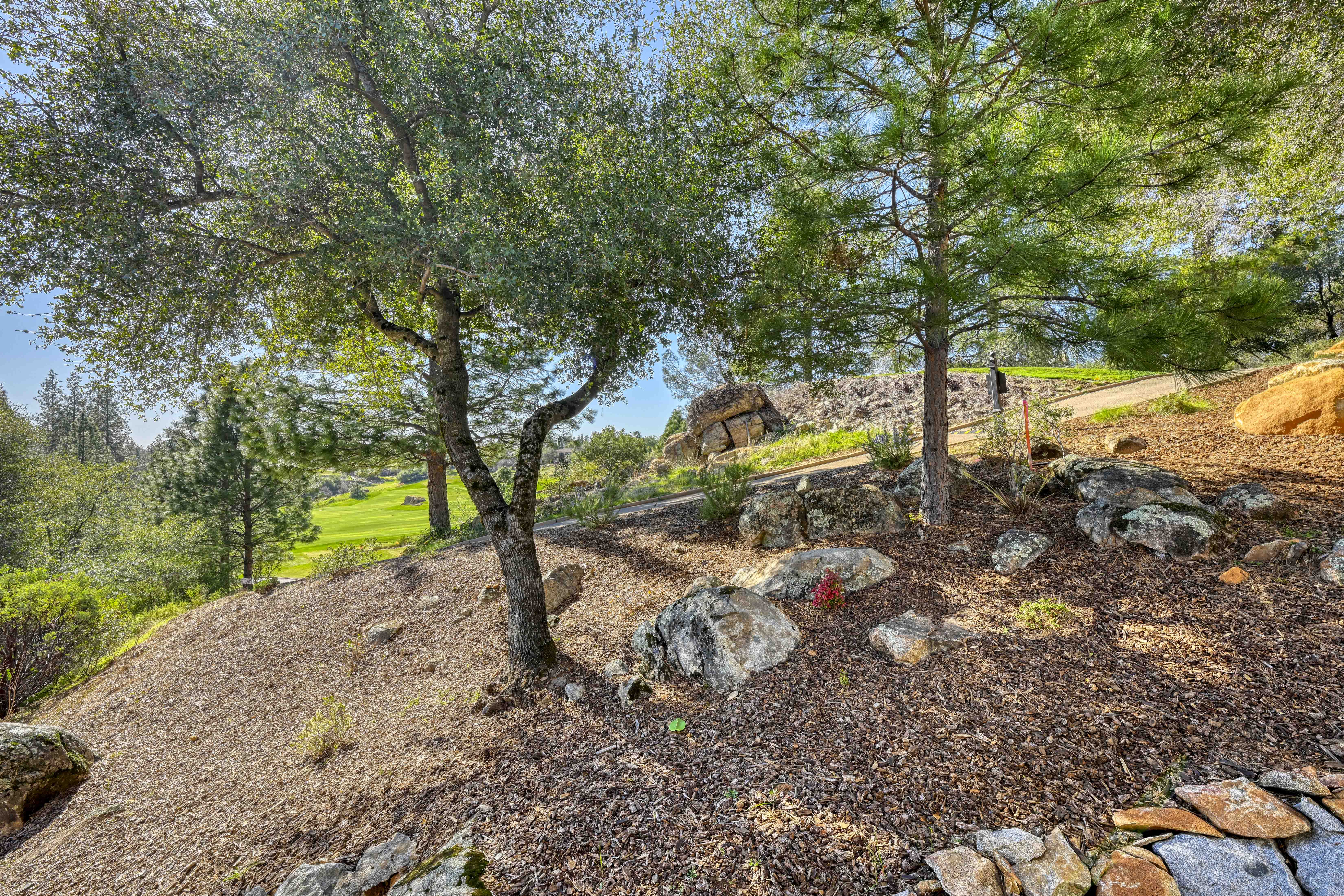 1412 Lodge View Drive, Meadow Vista, CA 95722 - 物件實景