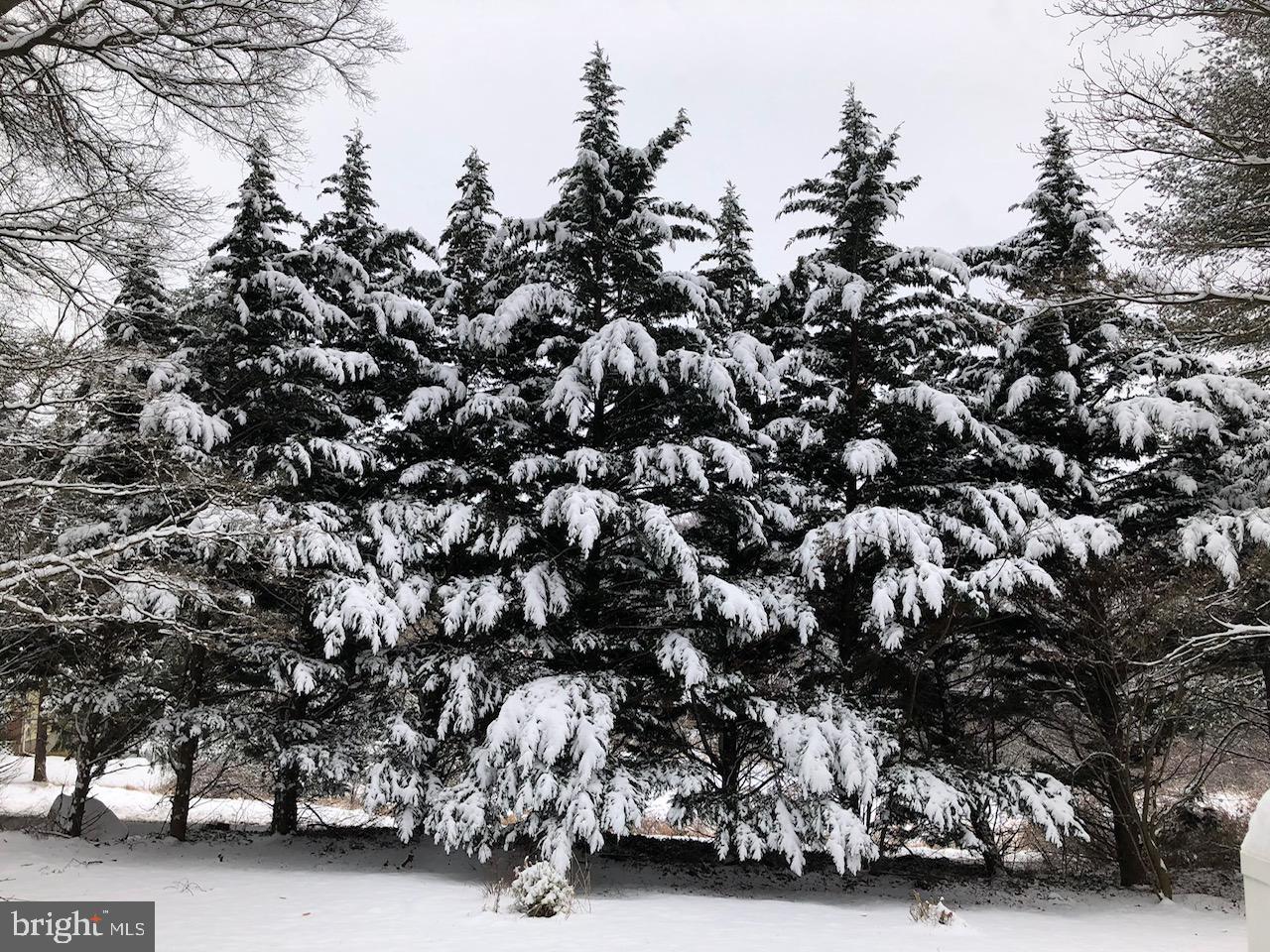 Bel Air, Maryland, 21014, United States, 3 Bedrooms Bedrooms, ,2 BathroomsBathrooms,Residential,For Sale,2002164