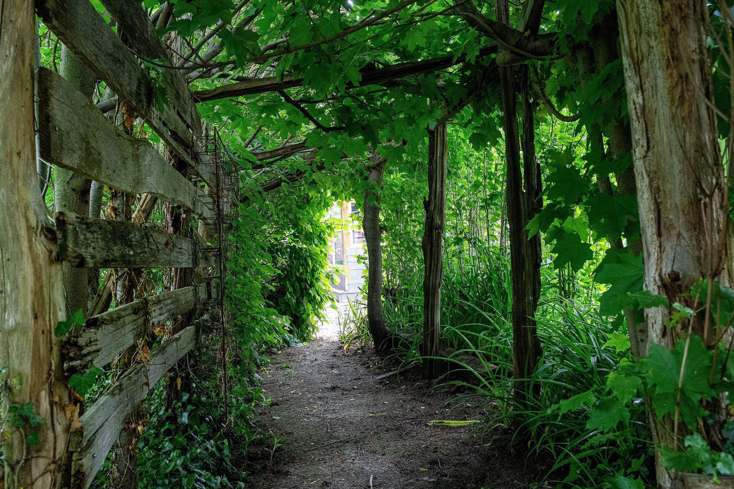 Private Collingwood Oasis - 物件實景