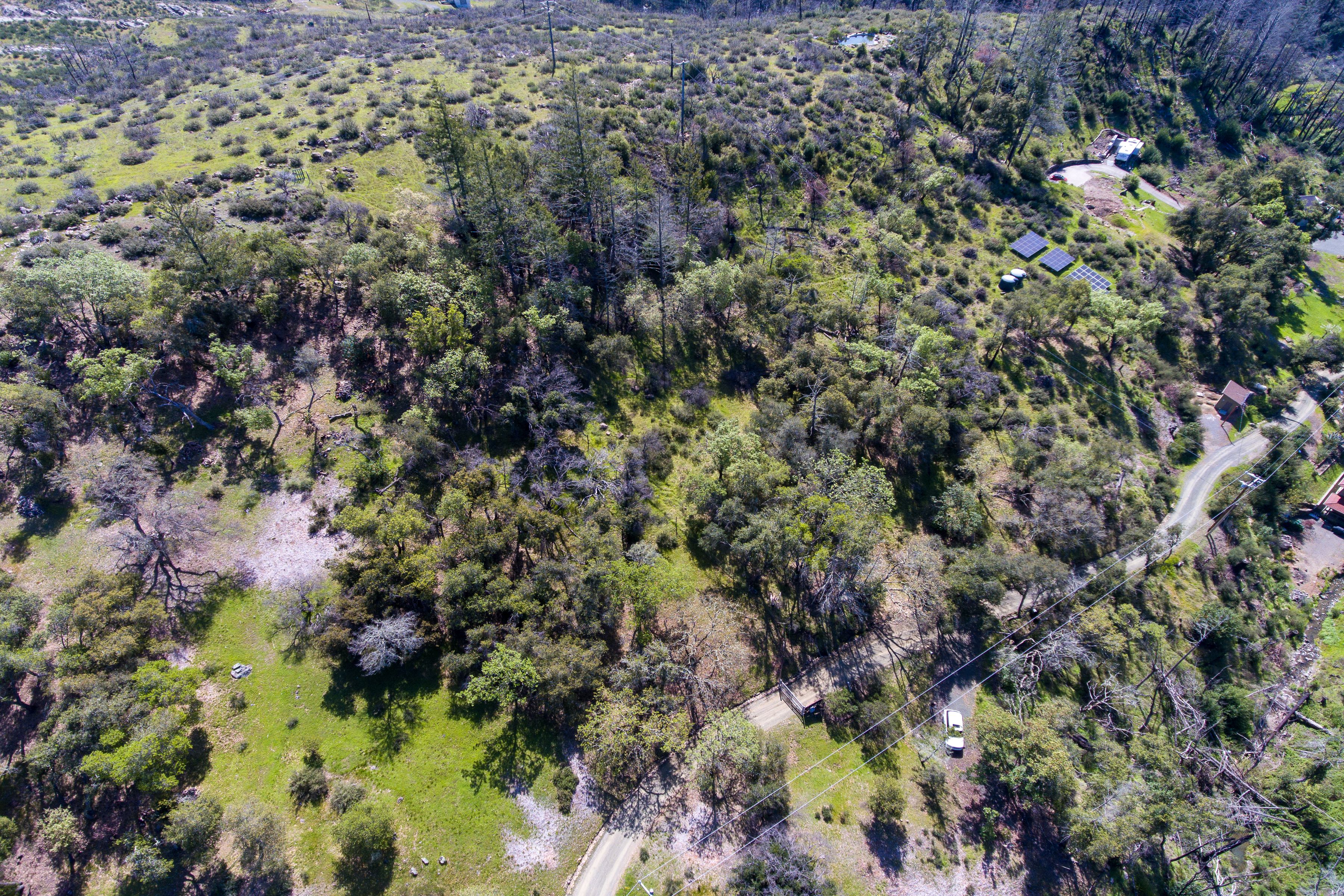  7935 St Helena Road - 物件實景