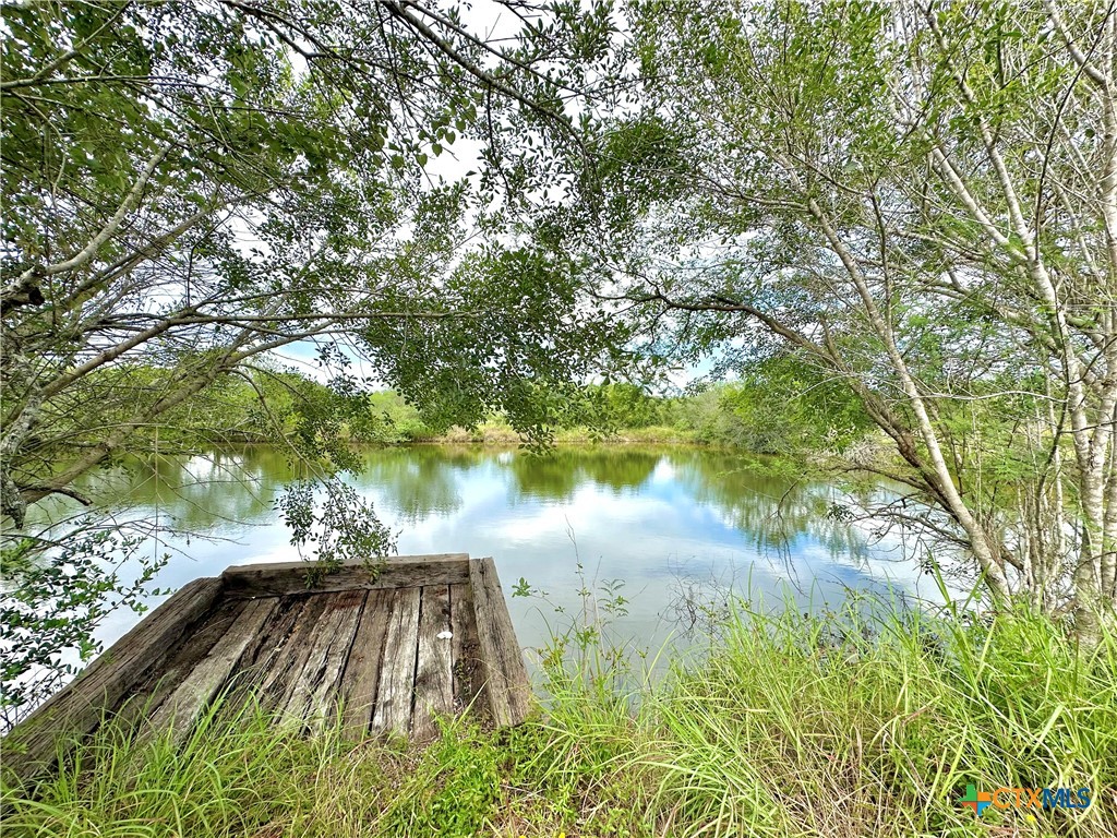 Nursery, Texas, 77976, United States, ,Land,For Sale,1885536
