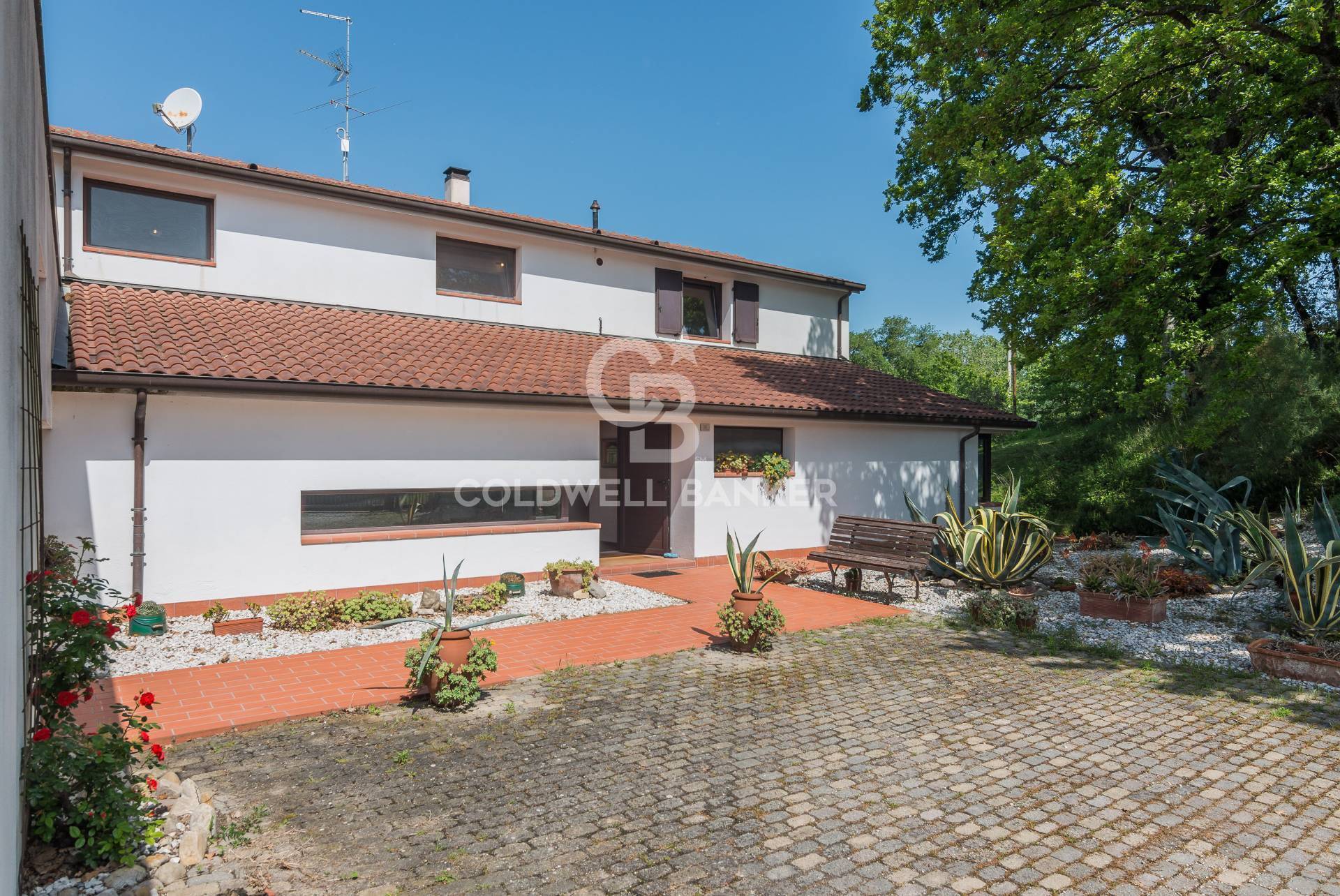 via giardino, San Clemente, Rimini, 47040, IT, 5 Bedrooms Bedrooms, ,3 BathroomsBathrooms,Residential,For Sale,via giardino,1522427